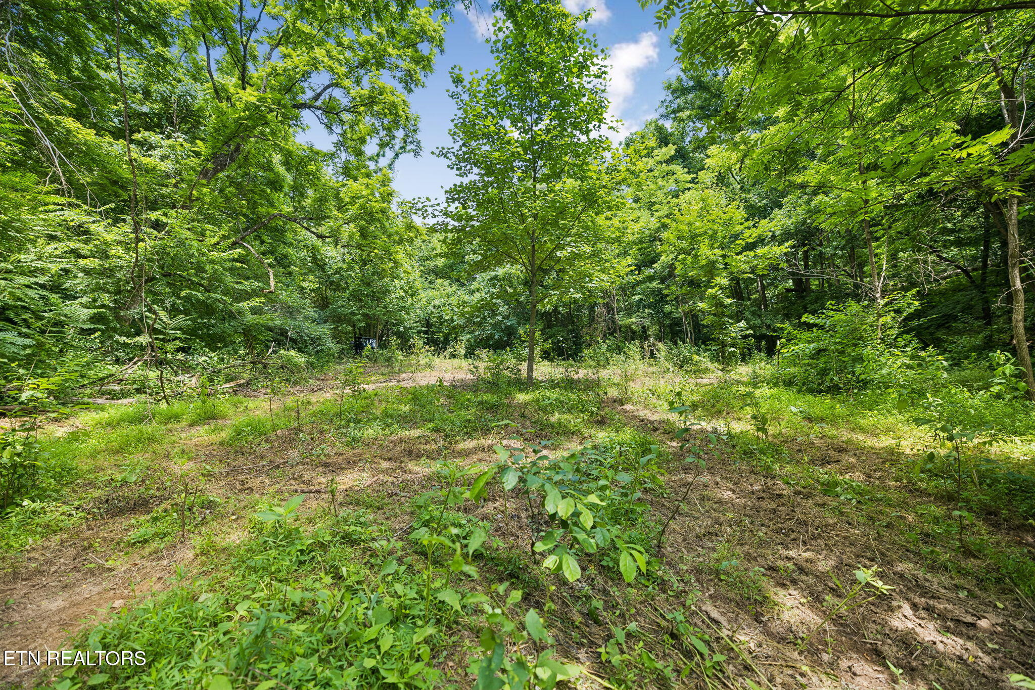 Knob Road Rutledge TN 37861