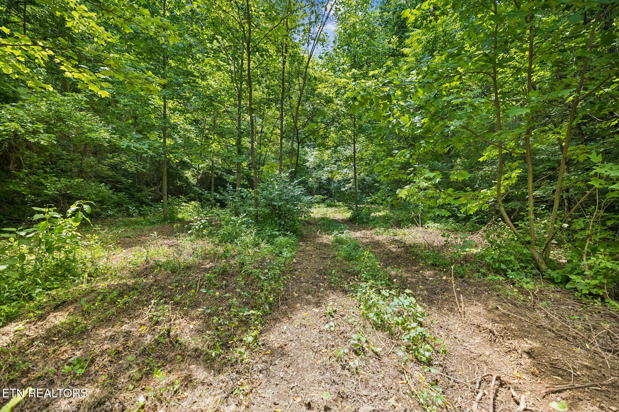 Knob Road Rutledge TN 37861
