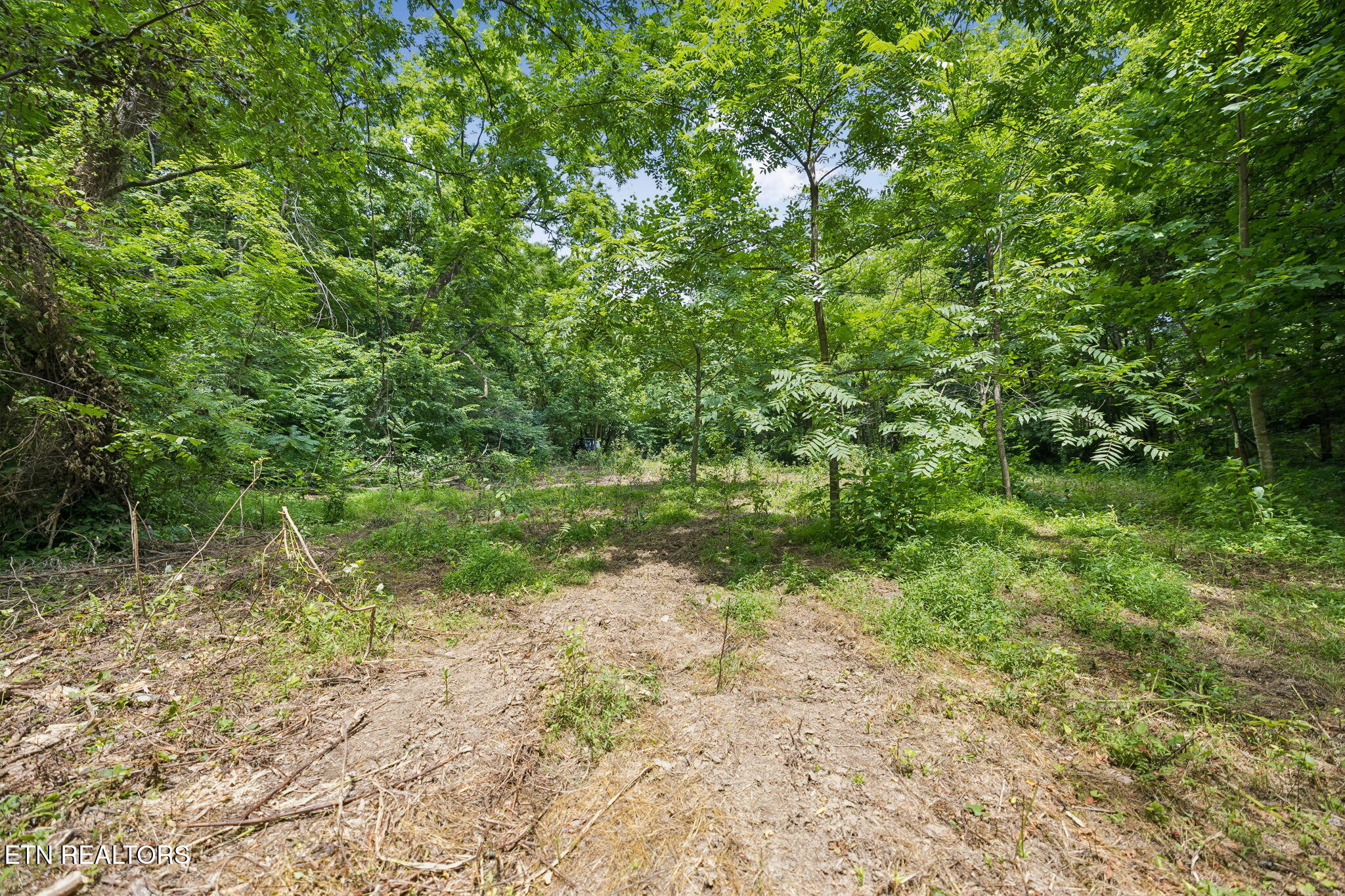 Knob Road Rutledge TN 37861