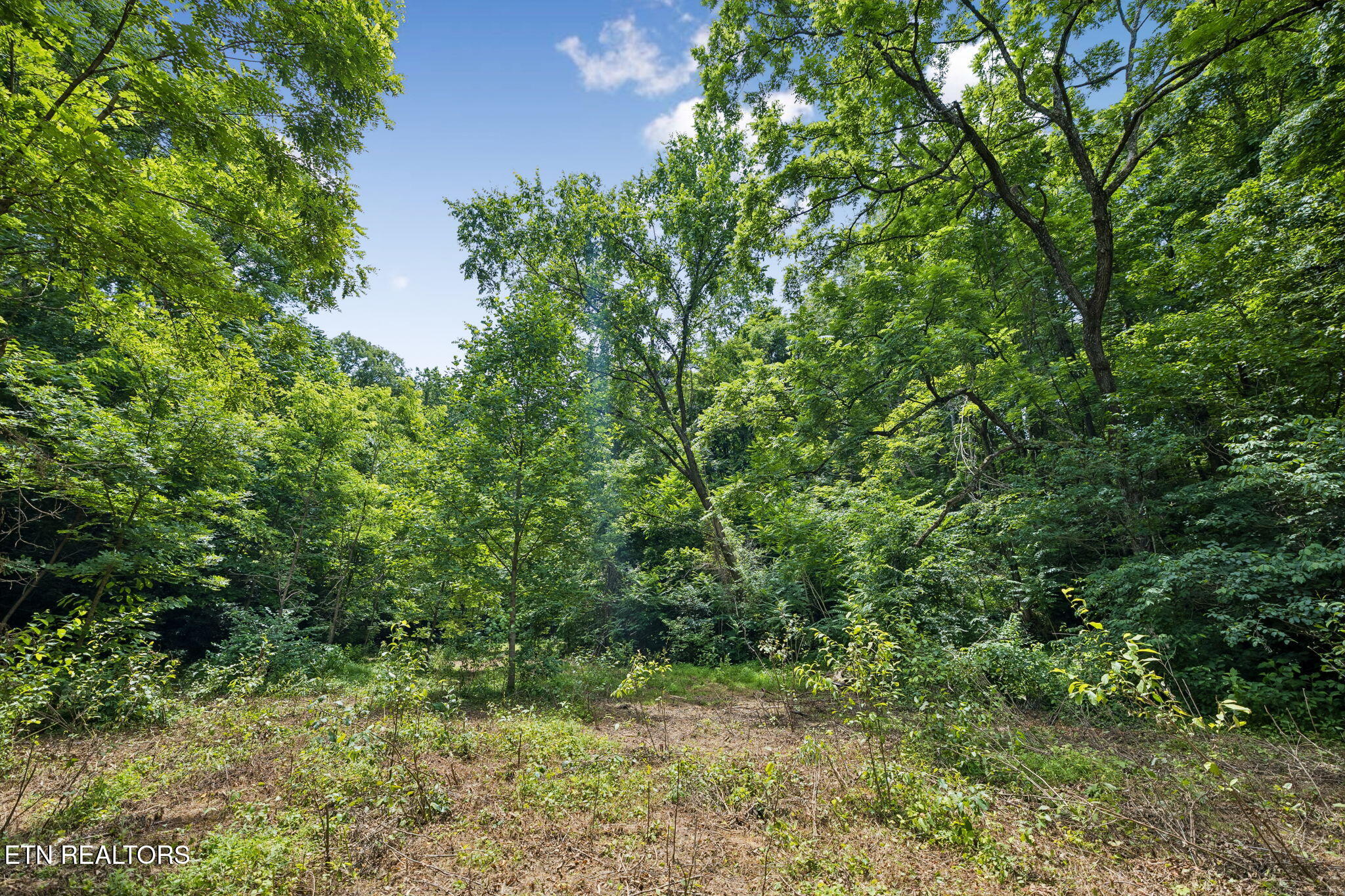 Knob Road Rutledge TN 37861