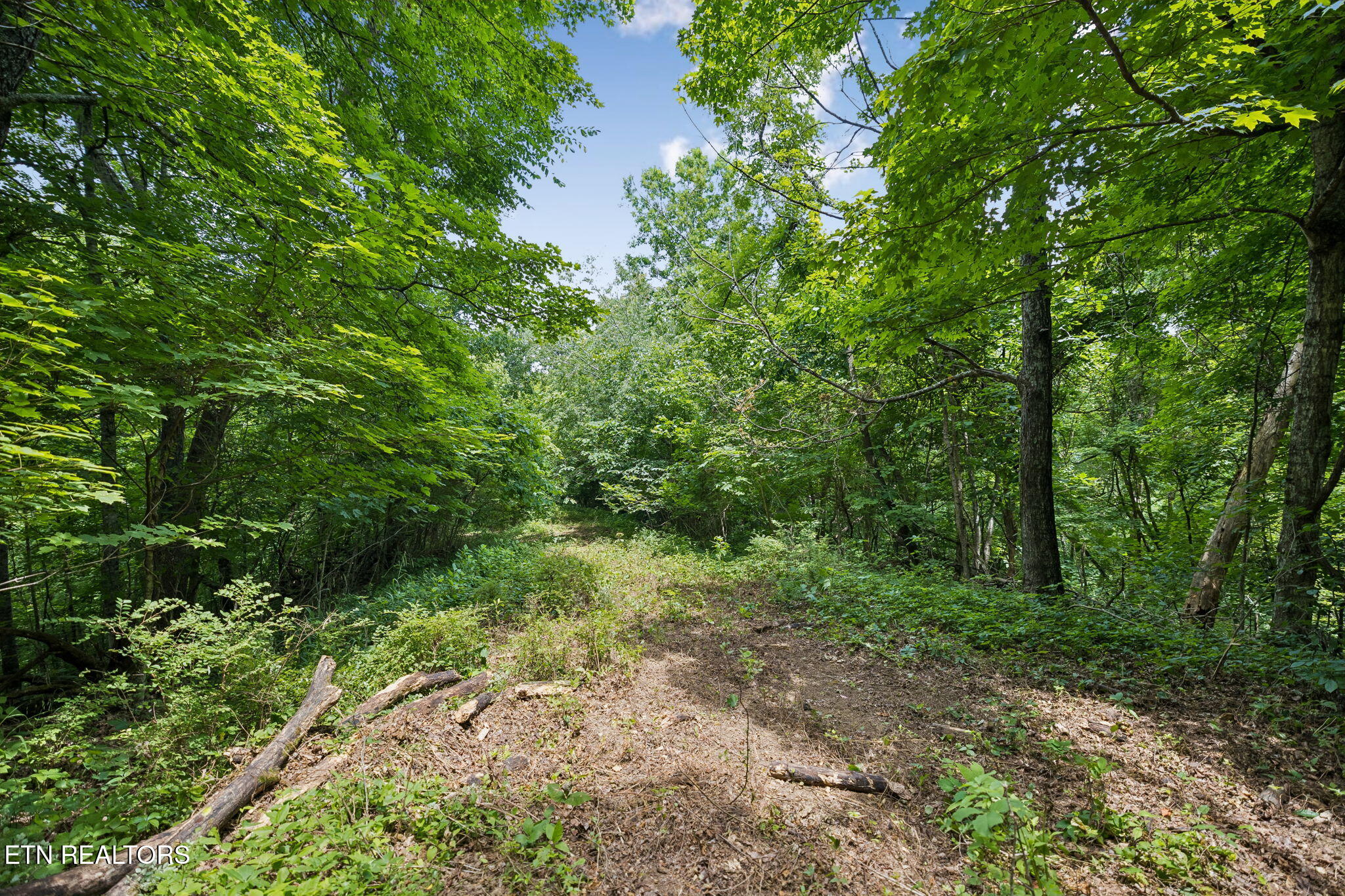 Knob Road Rutledge TN 37861