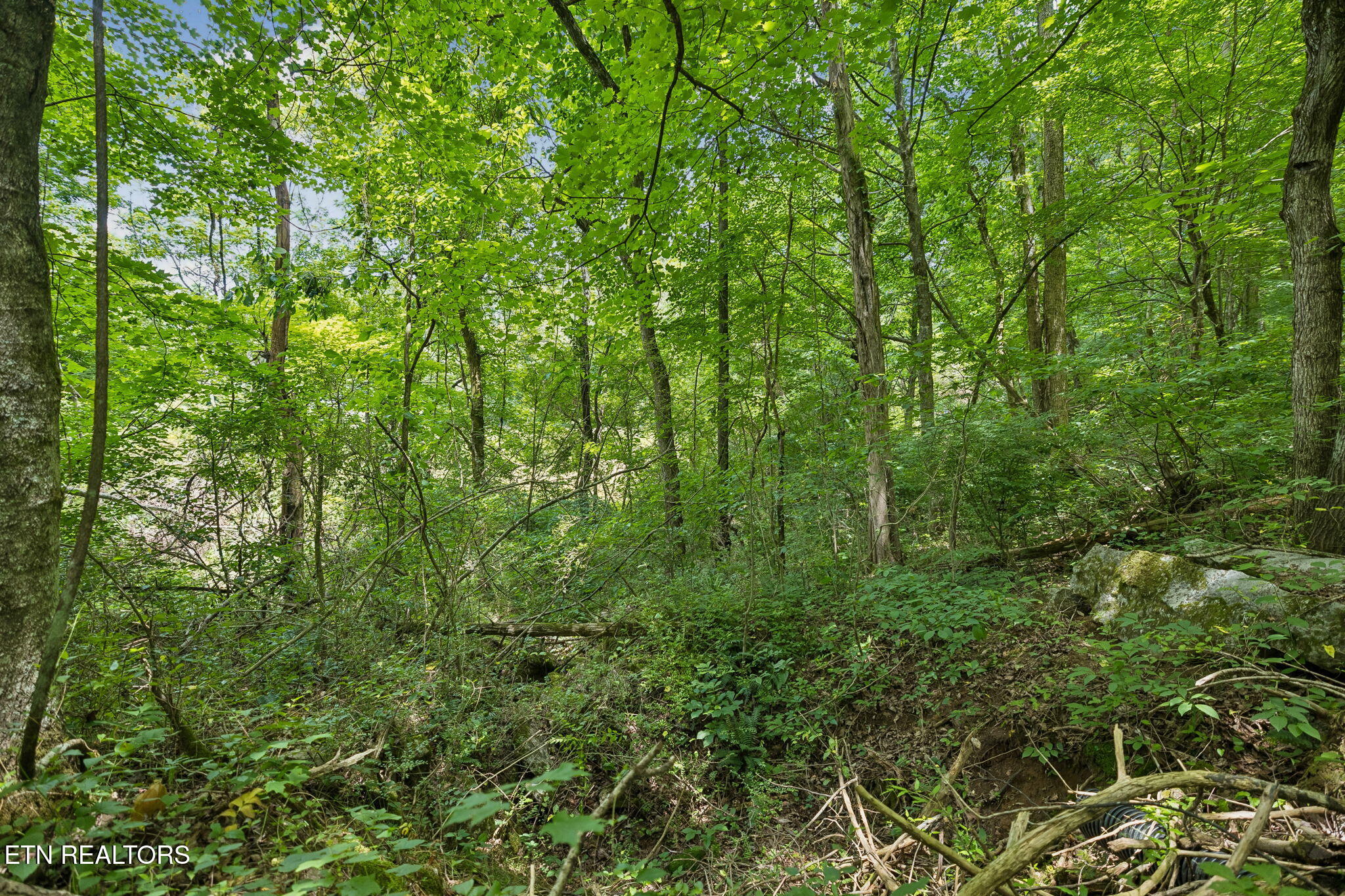 Knob Road Rutledge TN 37861