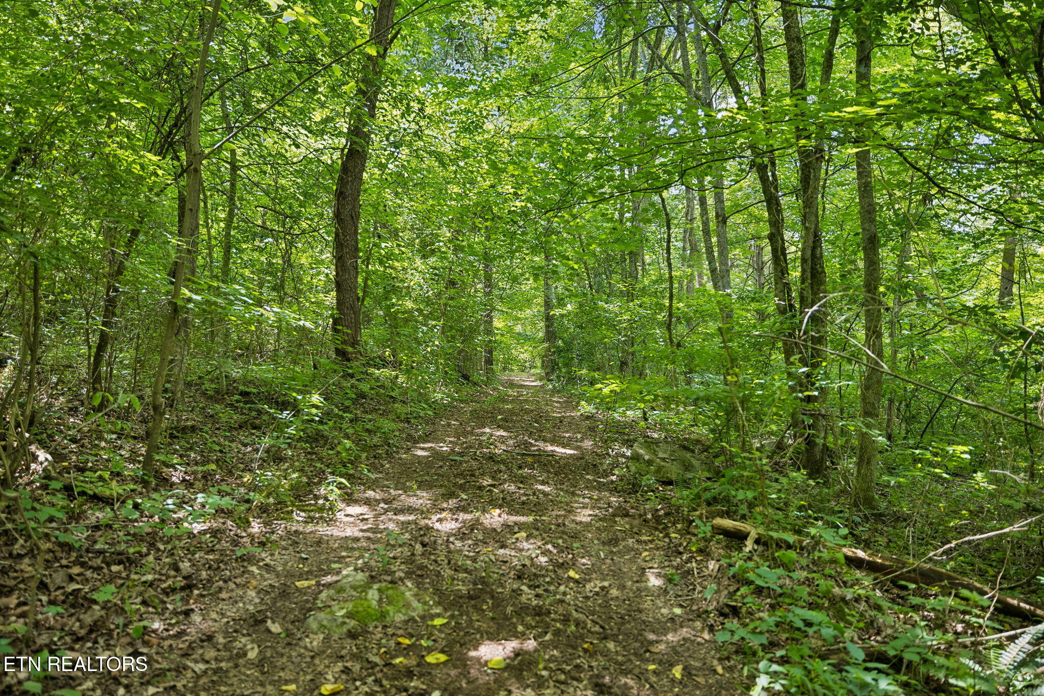 Knob Road Rutledge TN 37861