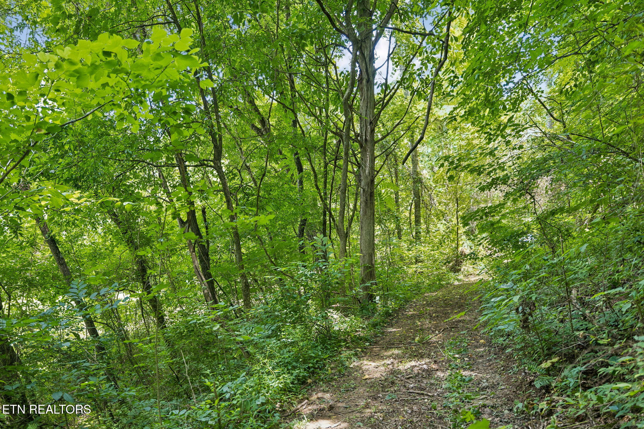 Knob Road Rutledge TN 37861