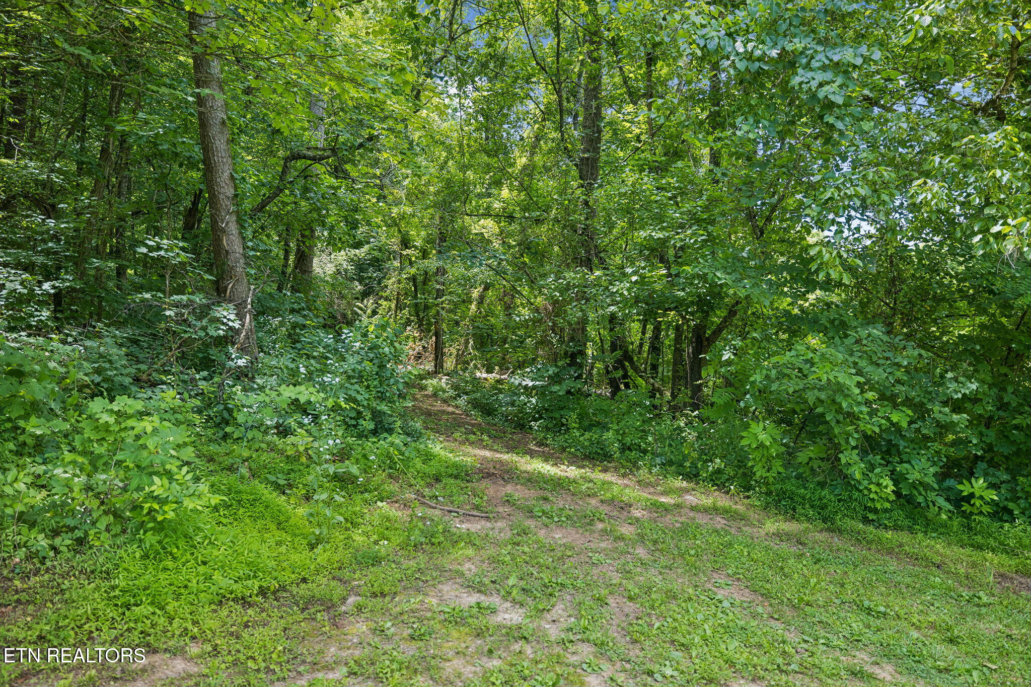 Knob Road Rutledge TN 37861