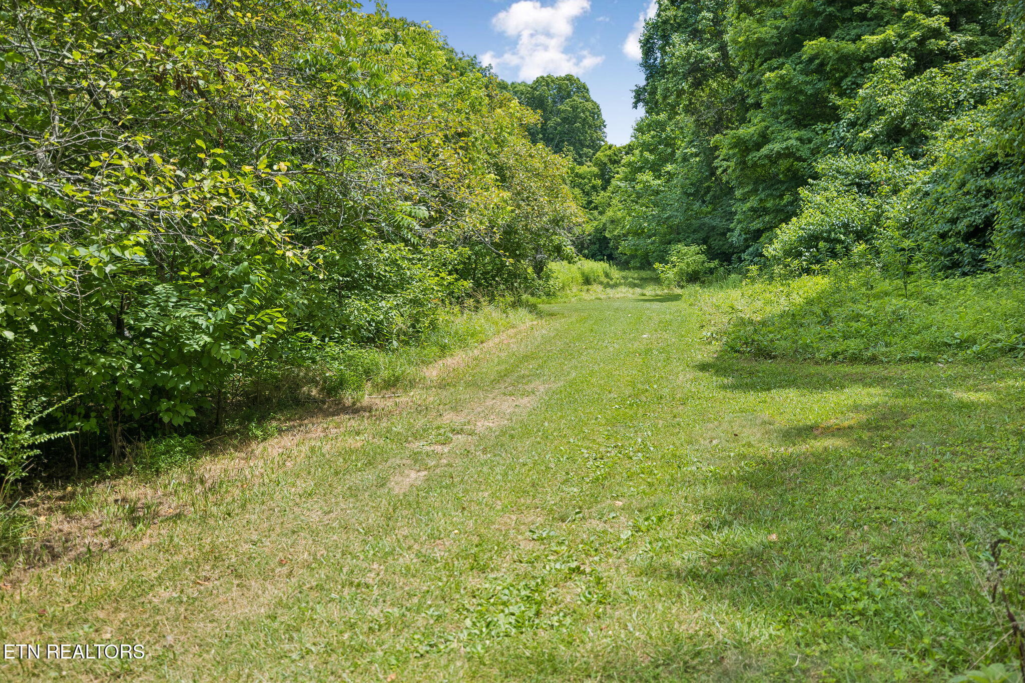 Knob Road Rutledge TN 37861