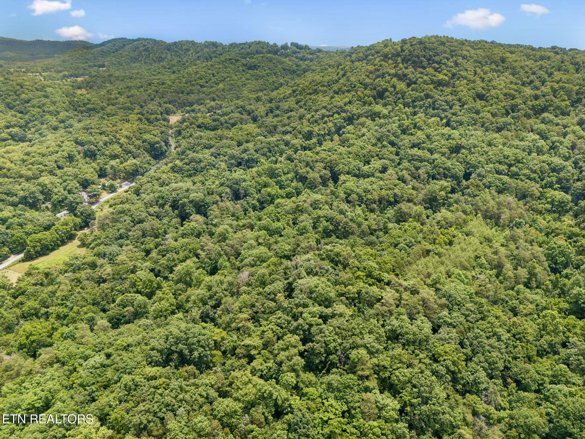 Knob Road Rutledge TN 37861