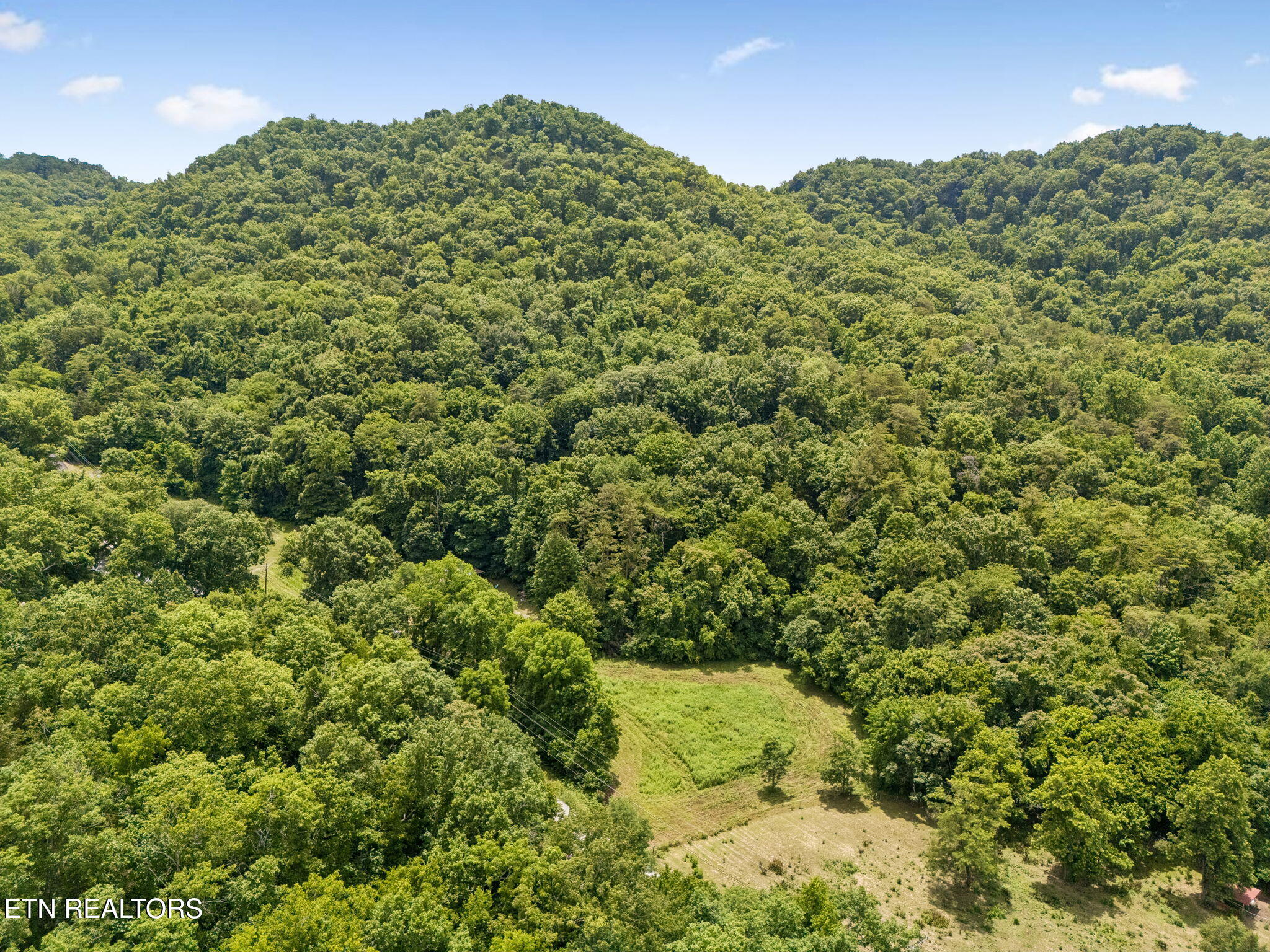 Knob Road Rutledge TN 37861