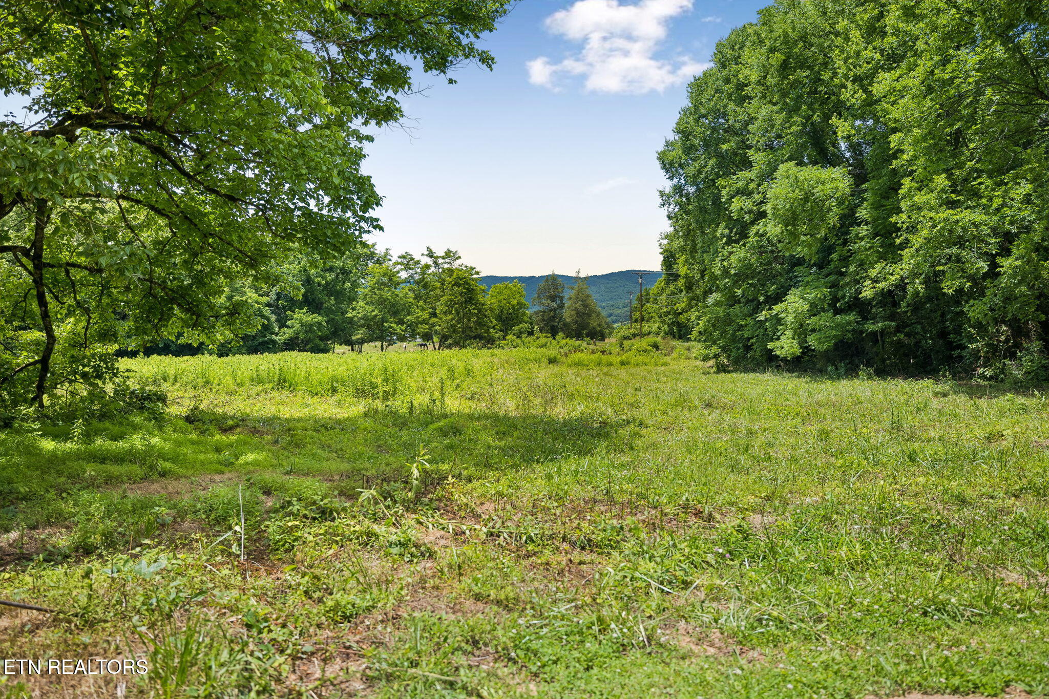 Knob Road Rutledge TN 37861