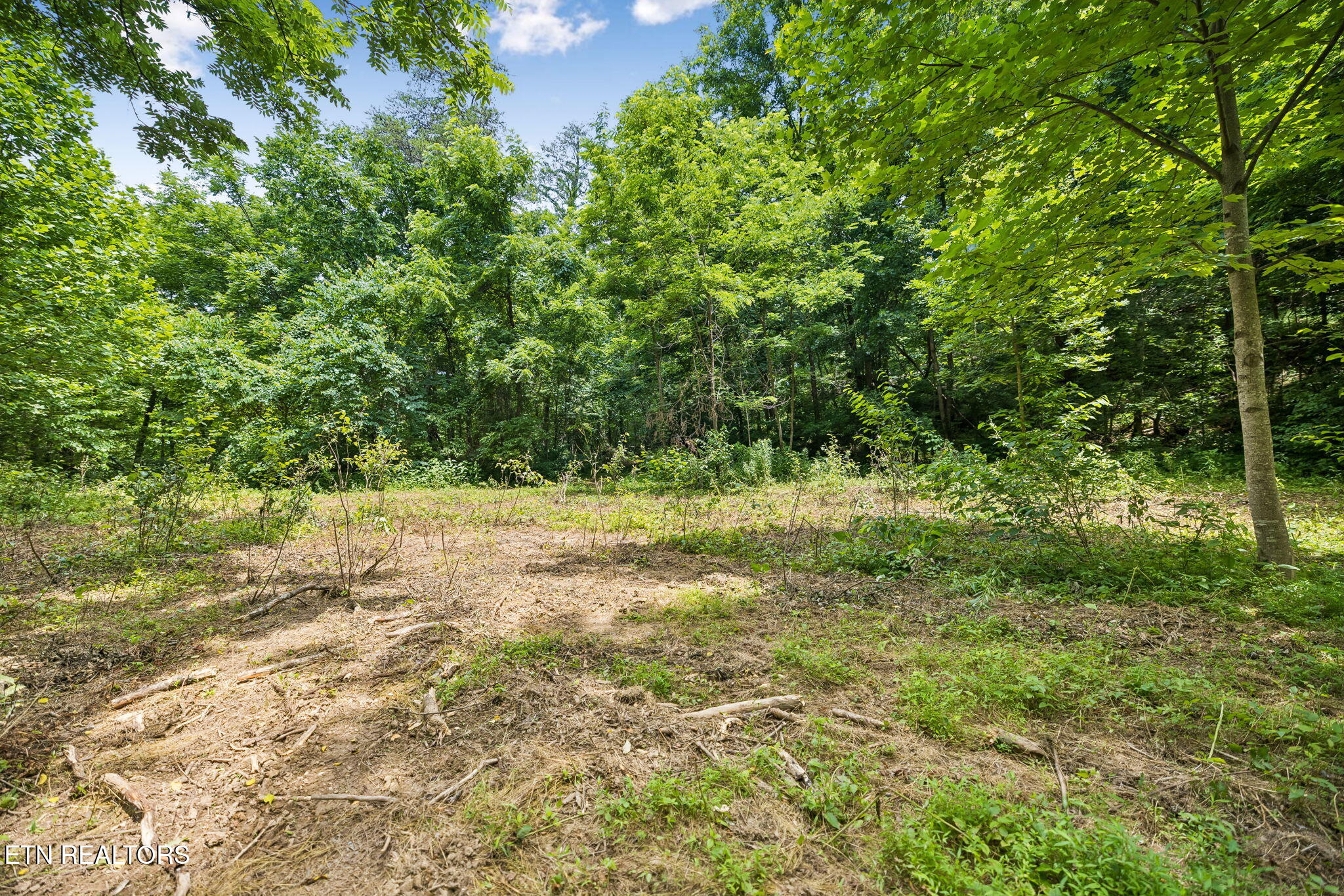 Knob Road Rutledge TN 37861