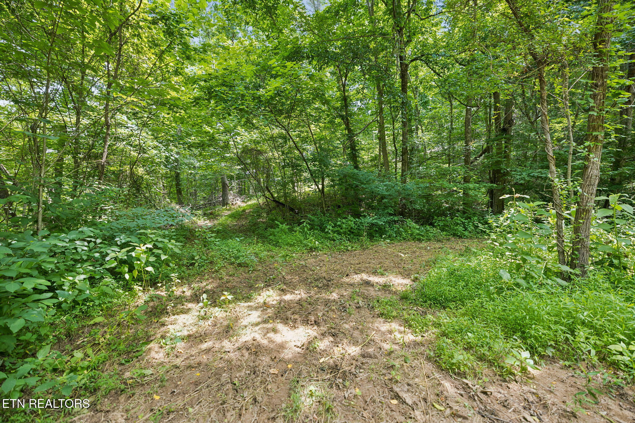 Knob Road Rutledge TN 37861