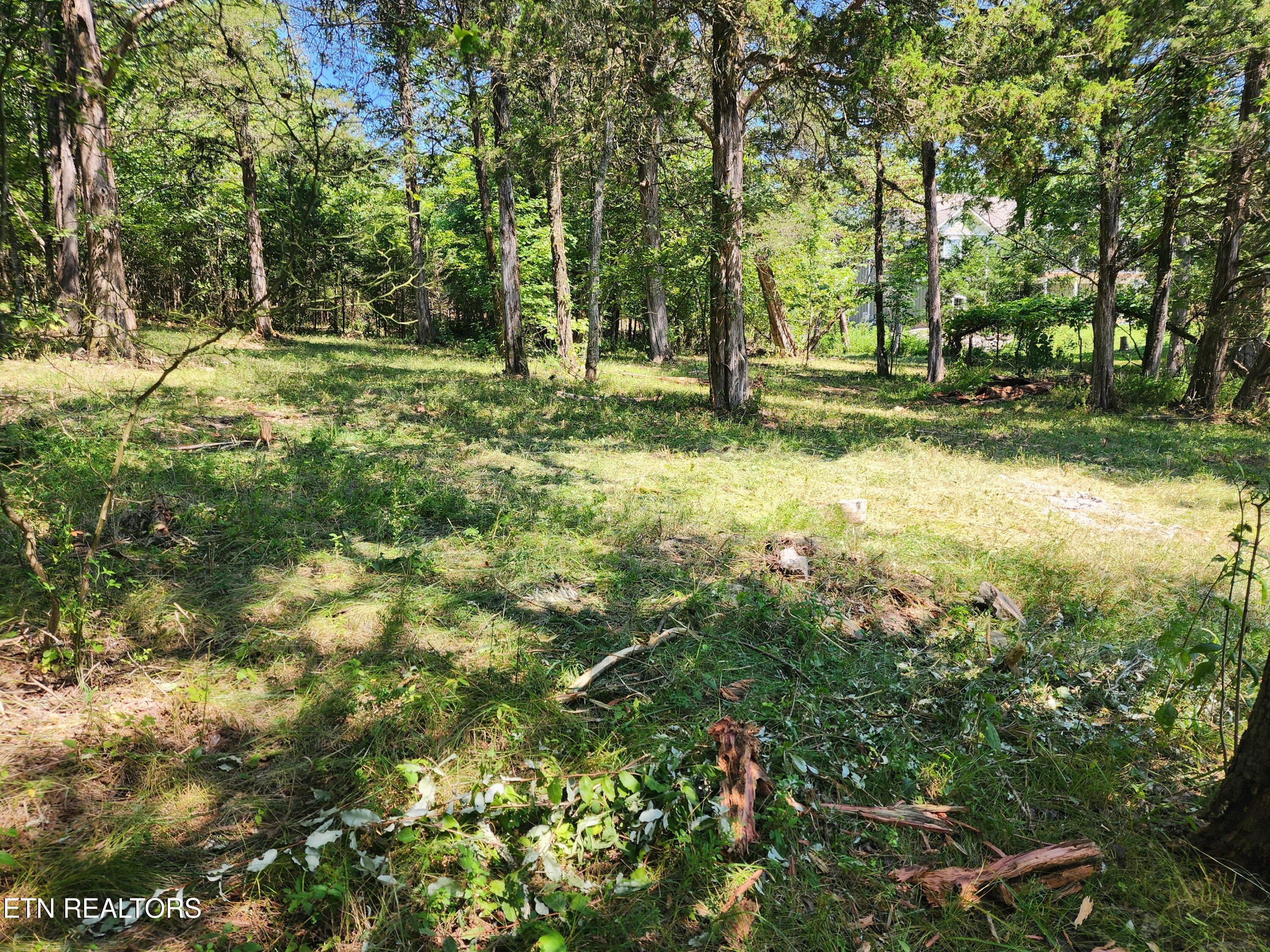 E Shore Drive Rockwood TN 37854