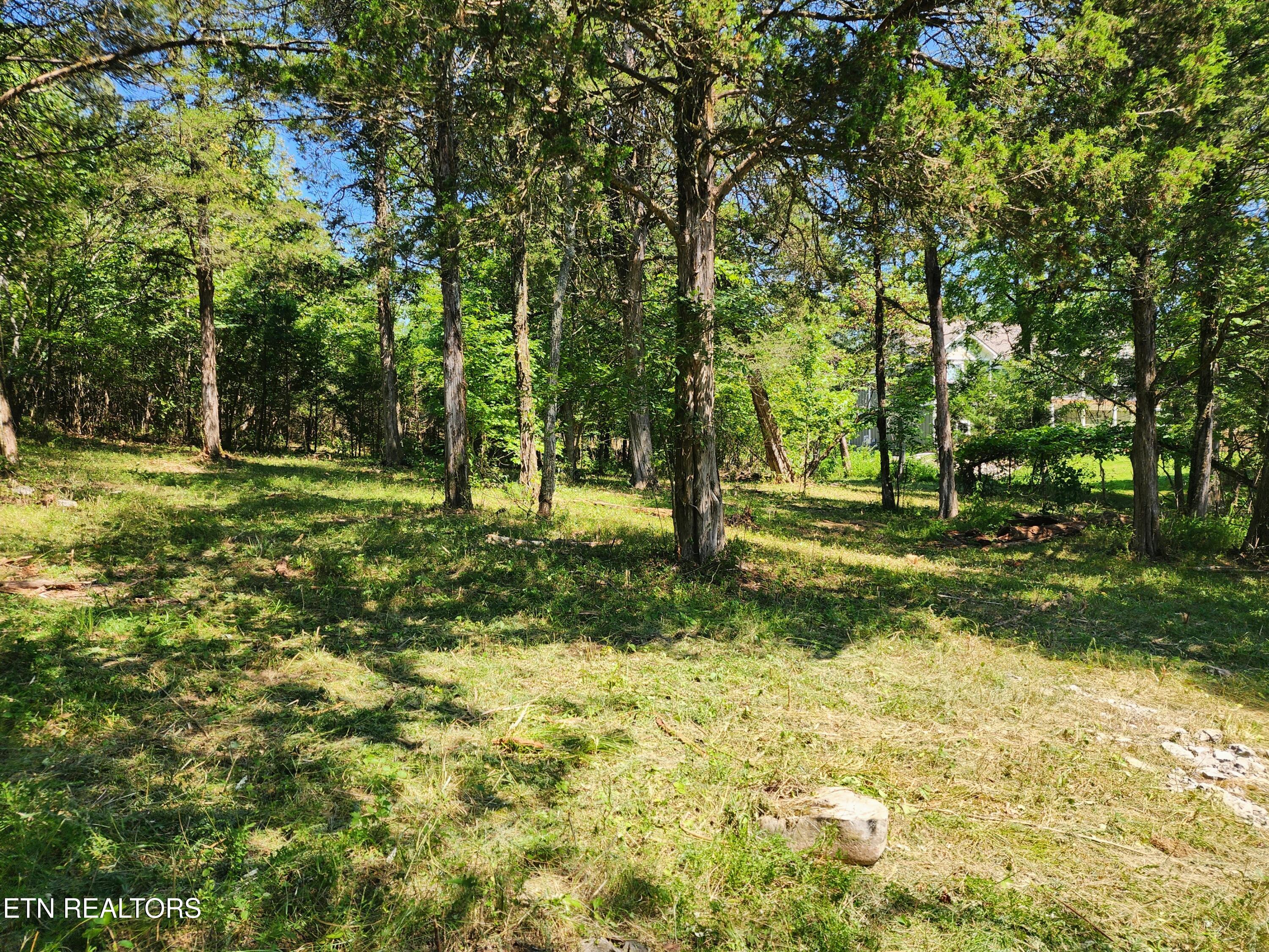 E Shore Drive Rockwood TN 37854