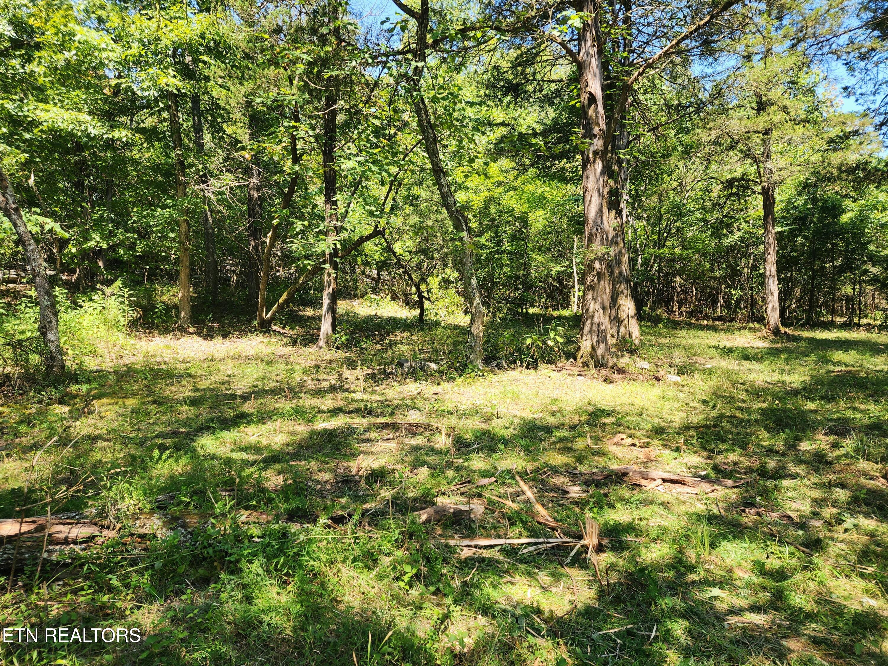 E Shore Drive Rockwood TN 37854