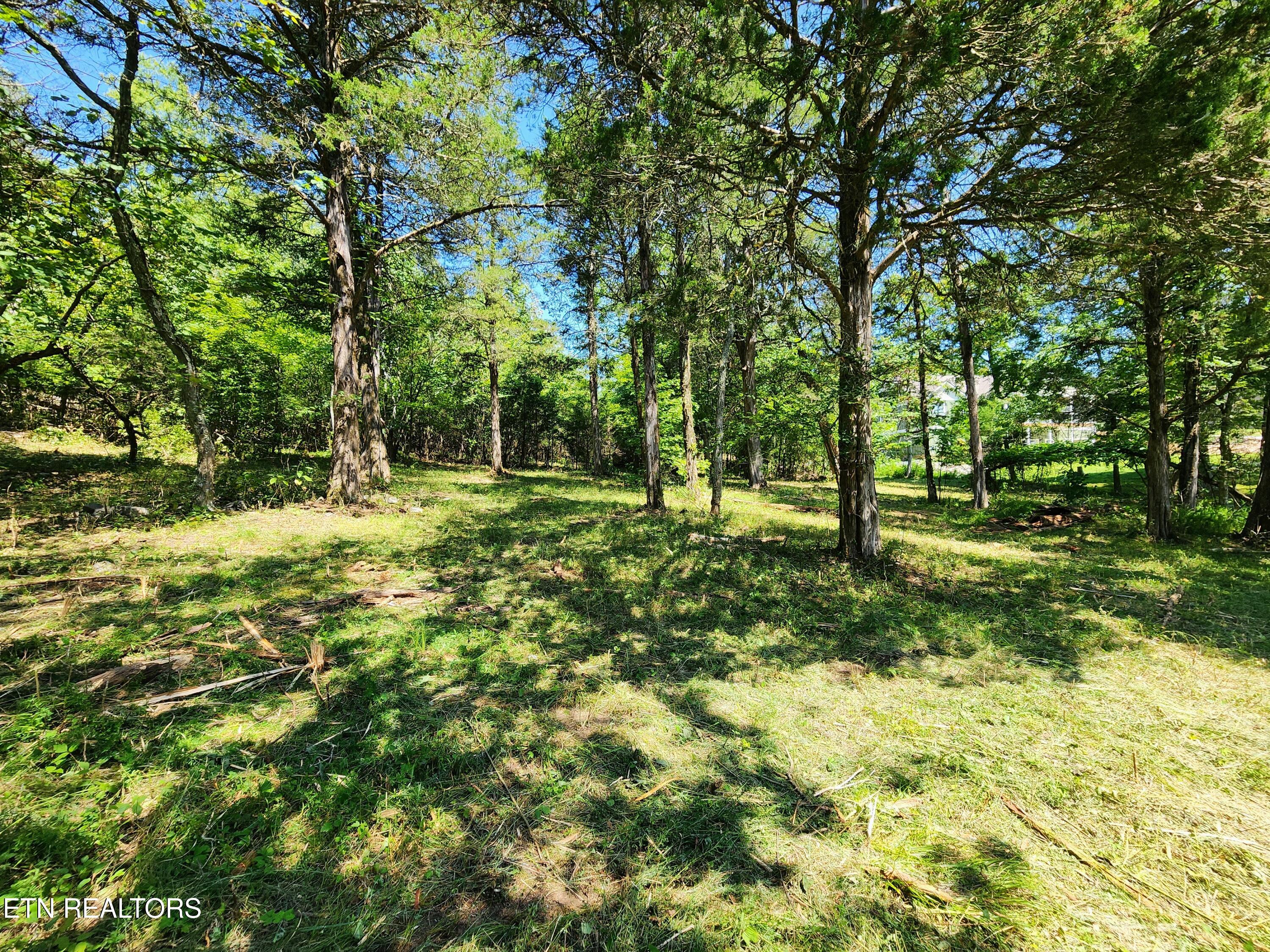 E Shore Drive Rockwood TN 37854