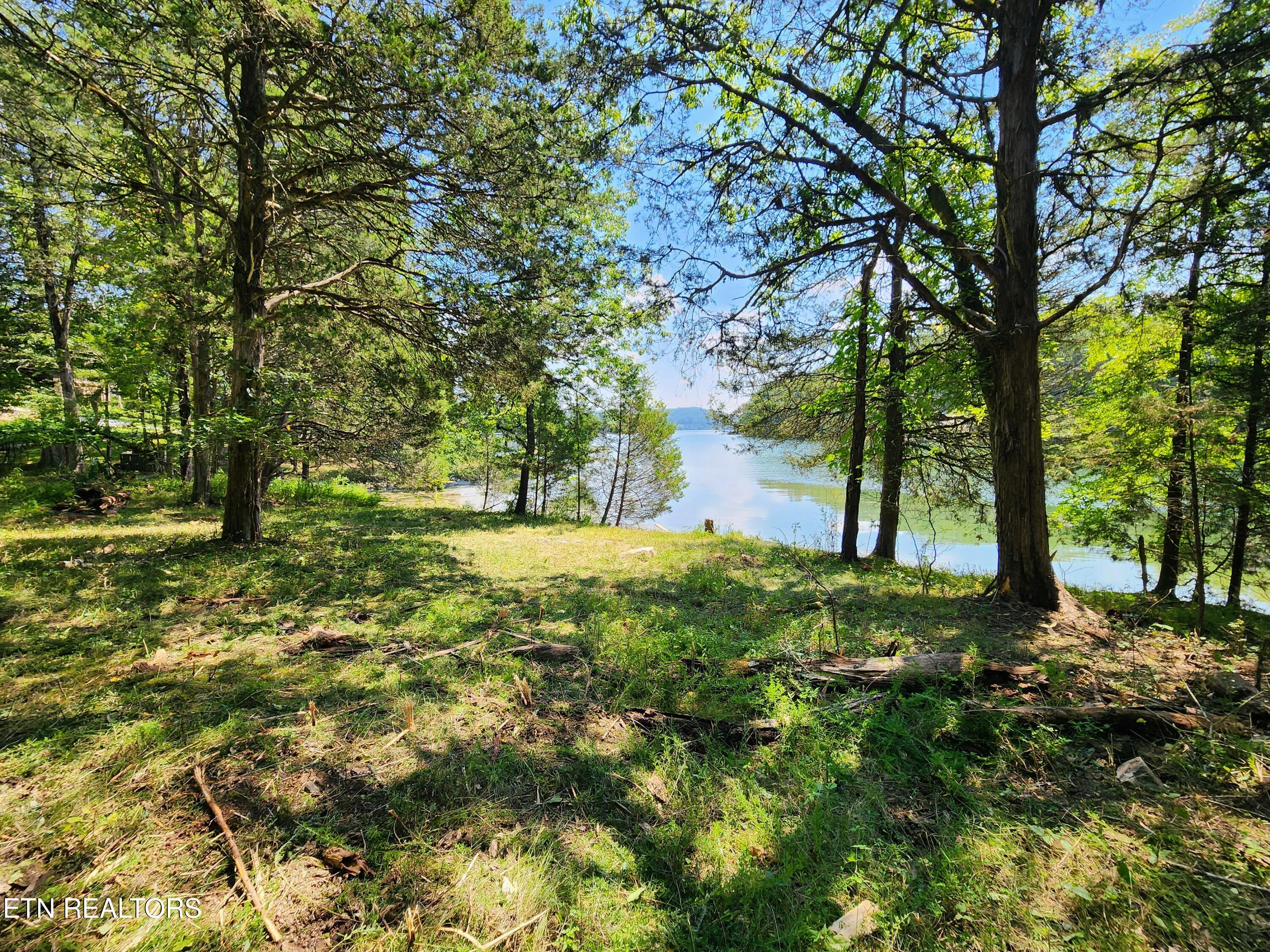 E Shore Drive Rockwood TN 37854