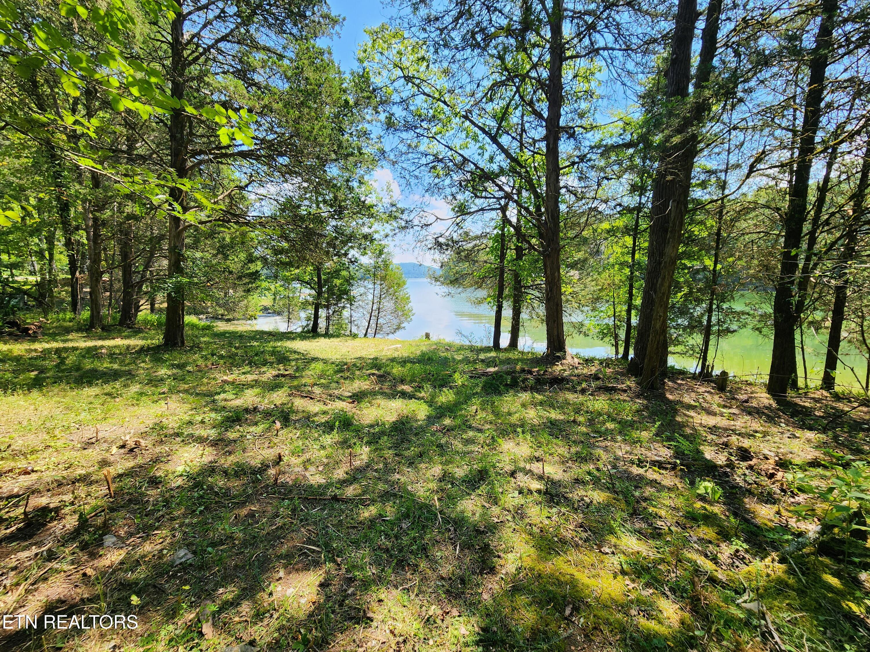 E Shore Drive Rockwood TN 37854
