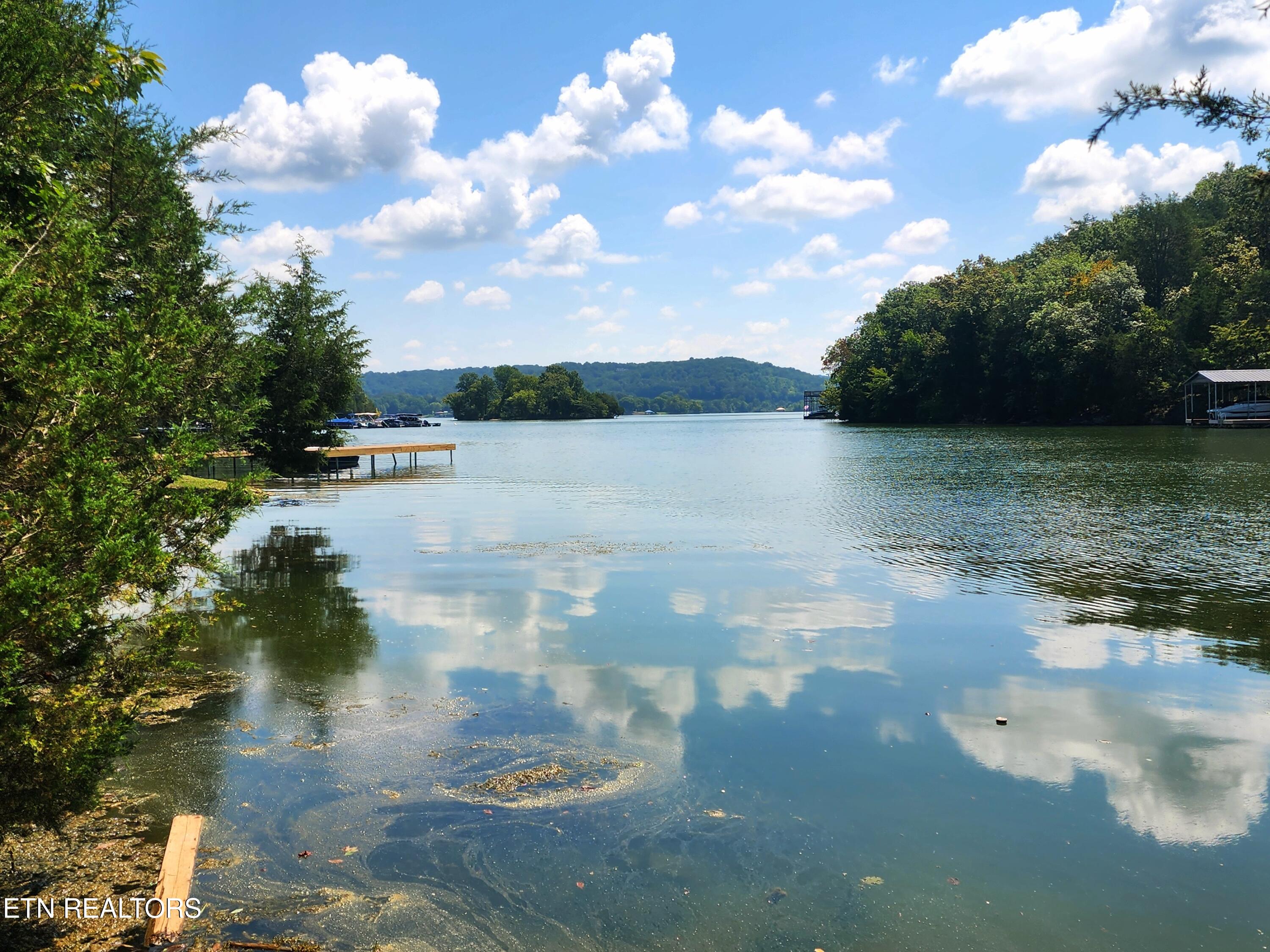 E Shore Drive Rockwood TN 37854