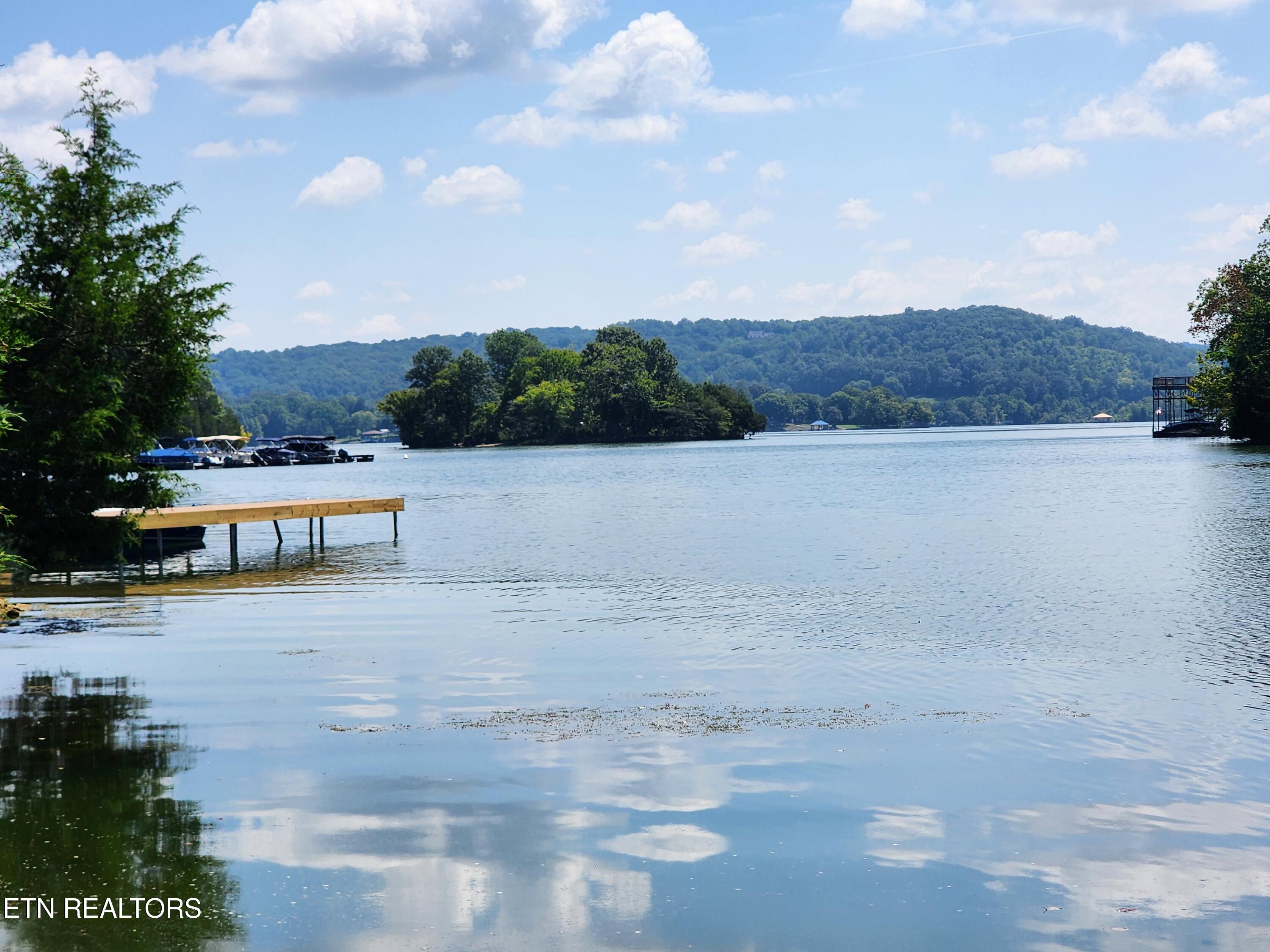 E Shore Drive Rockwood TN 37854