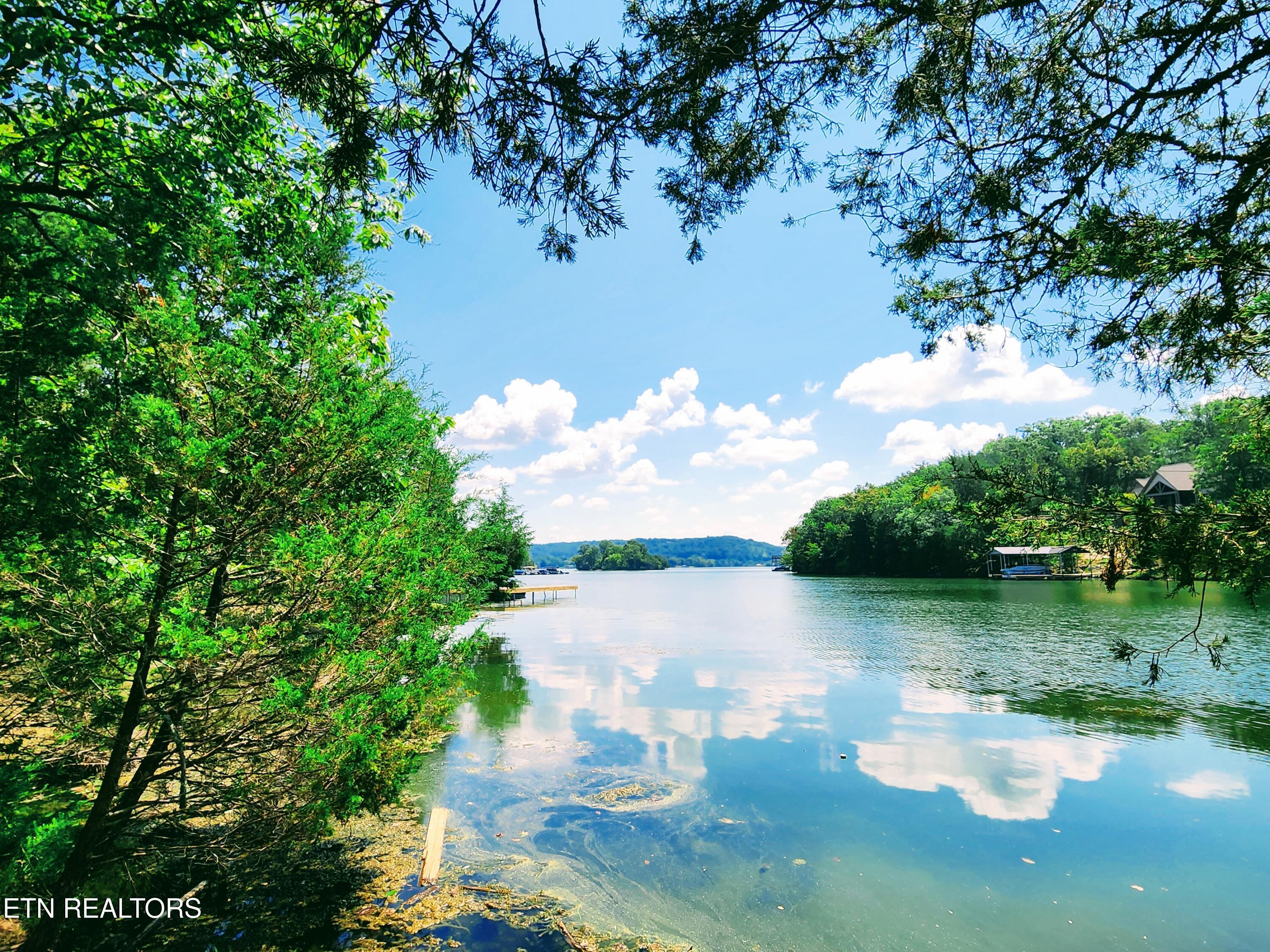 E Shore Drive Rockwood TN 37854