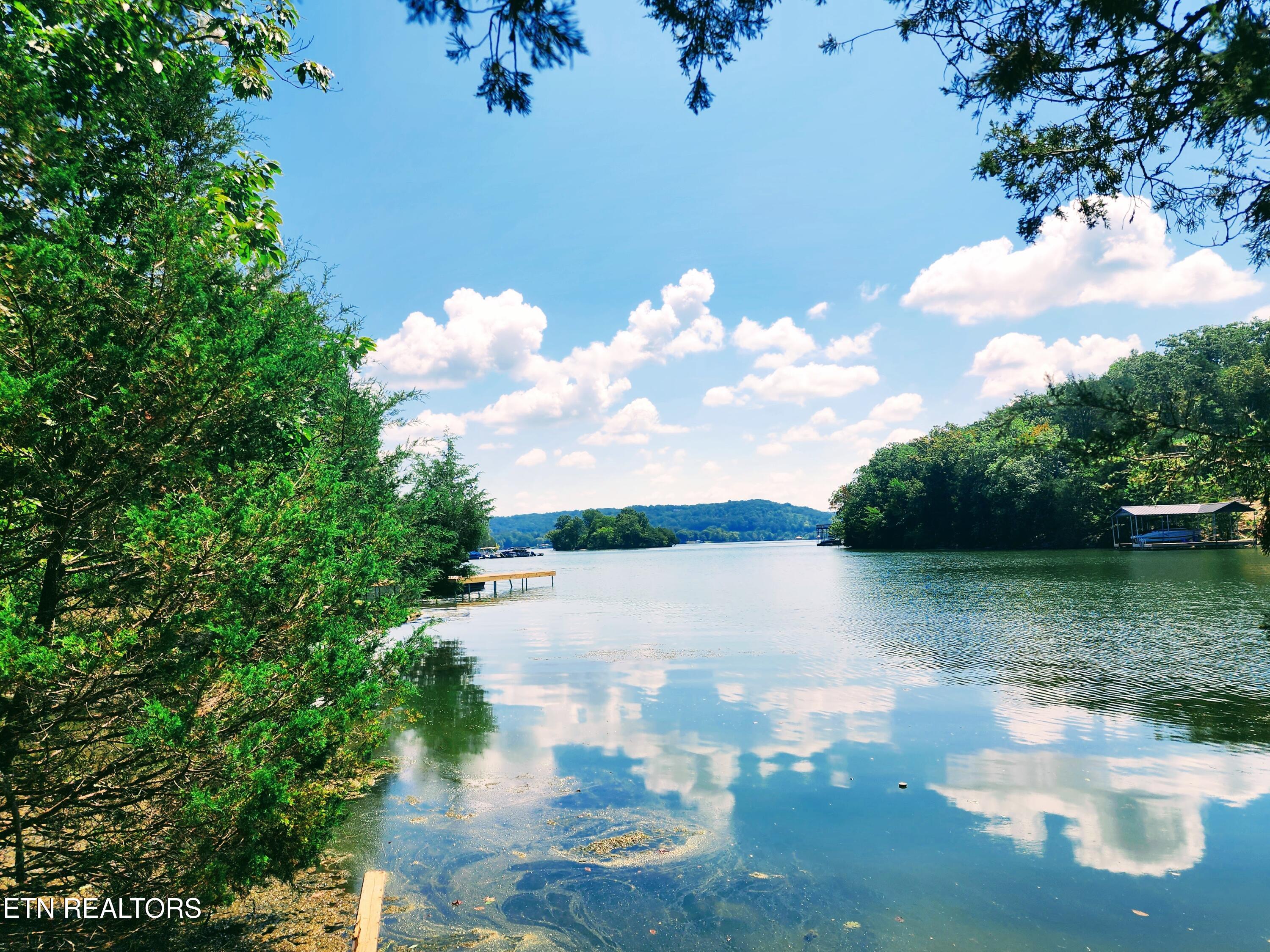 E Shore Drive Rockwood TN 37854