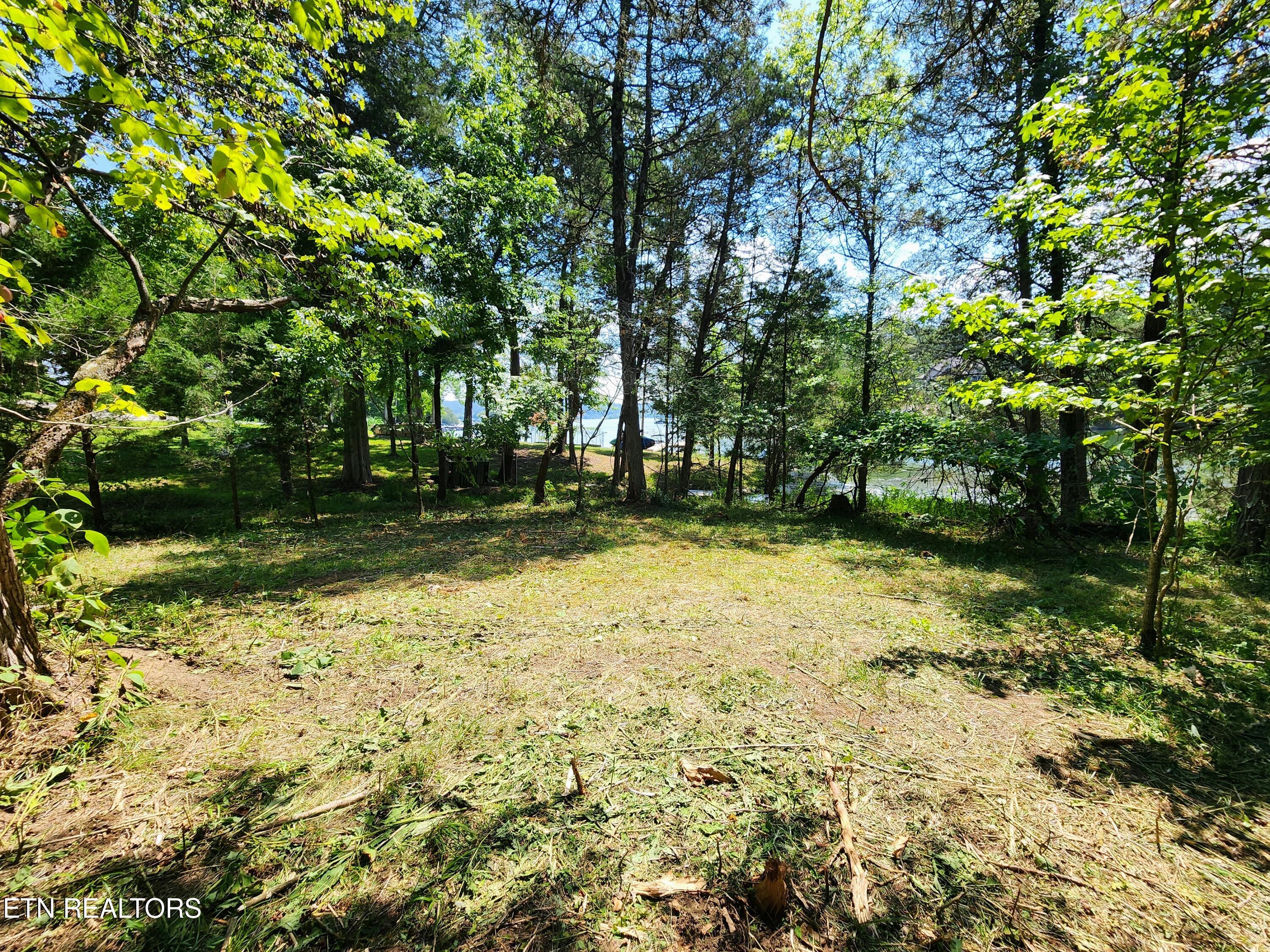 E Shore Drive Rockwood TN 37854