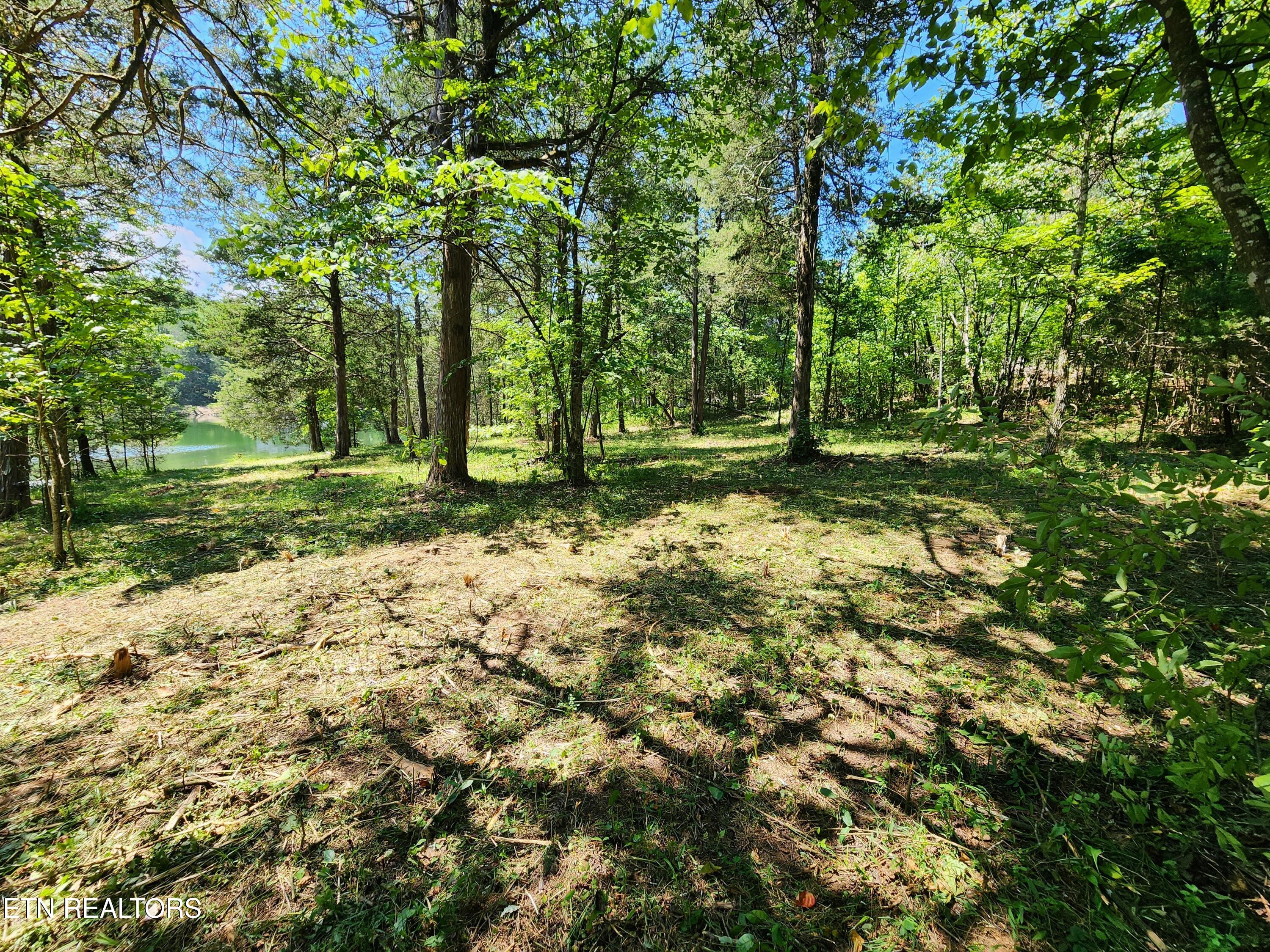 E Shore Drive Rockwood TN 37854