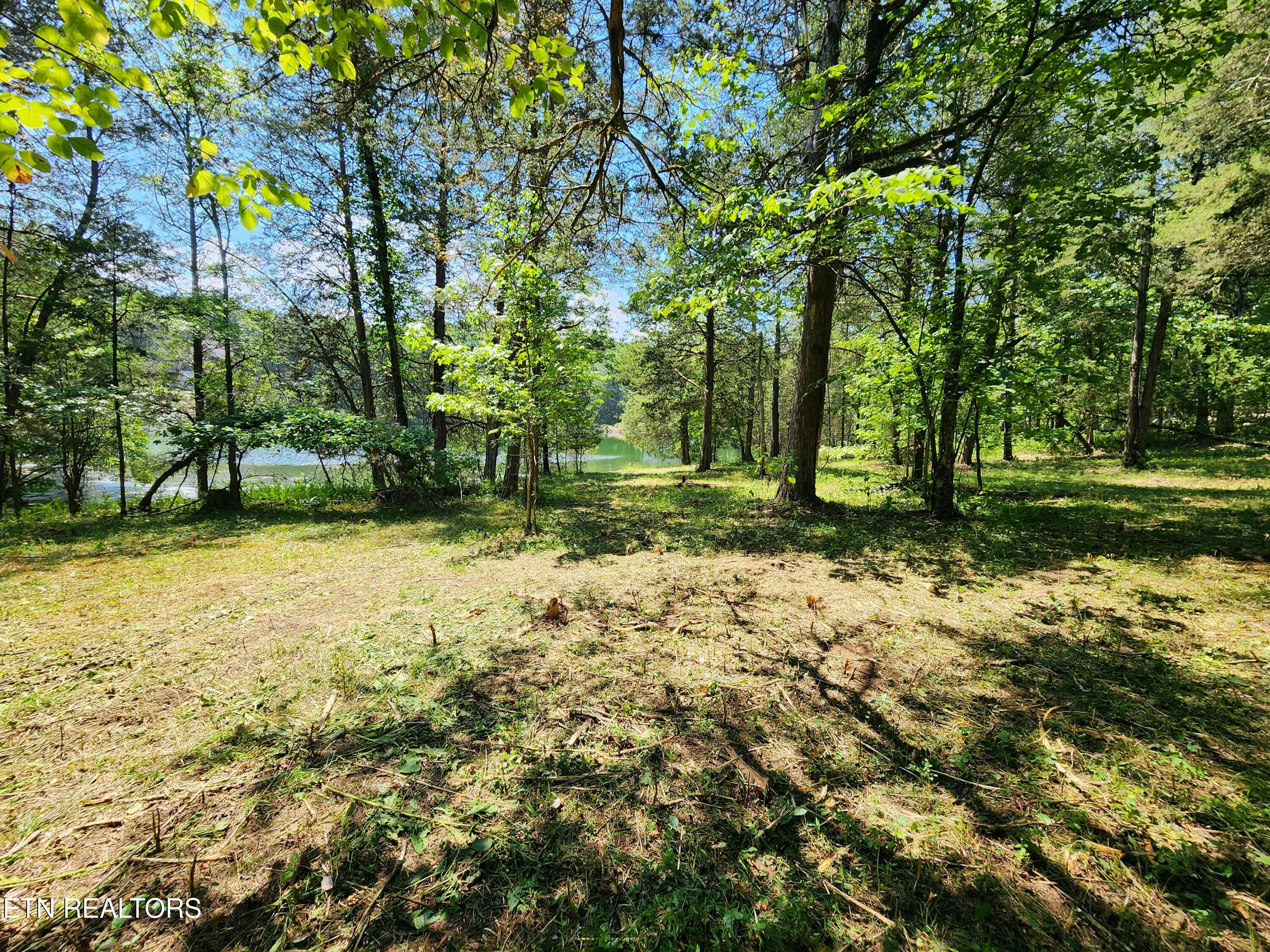 E Shore Drive Rockwood TN 37854