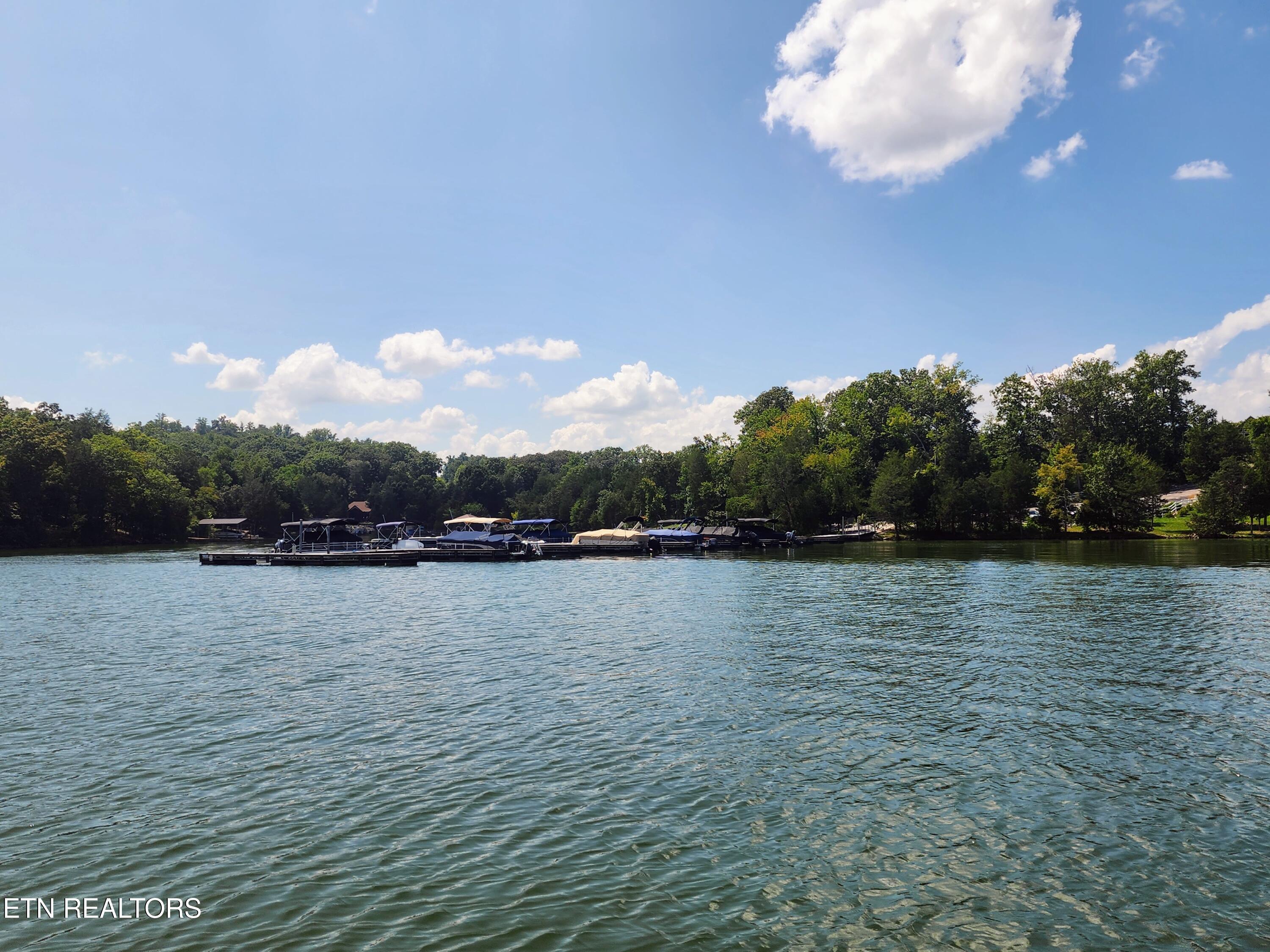 E Shore Drive Rockwood TN 37854