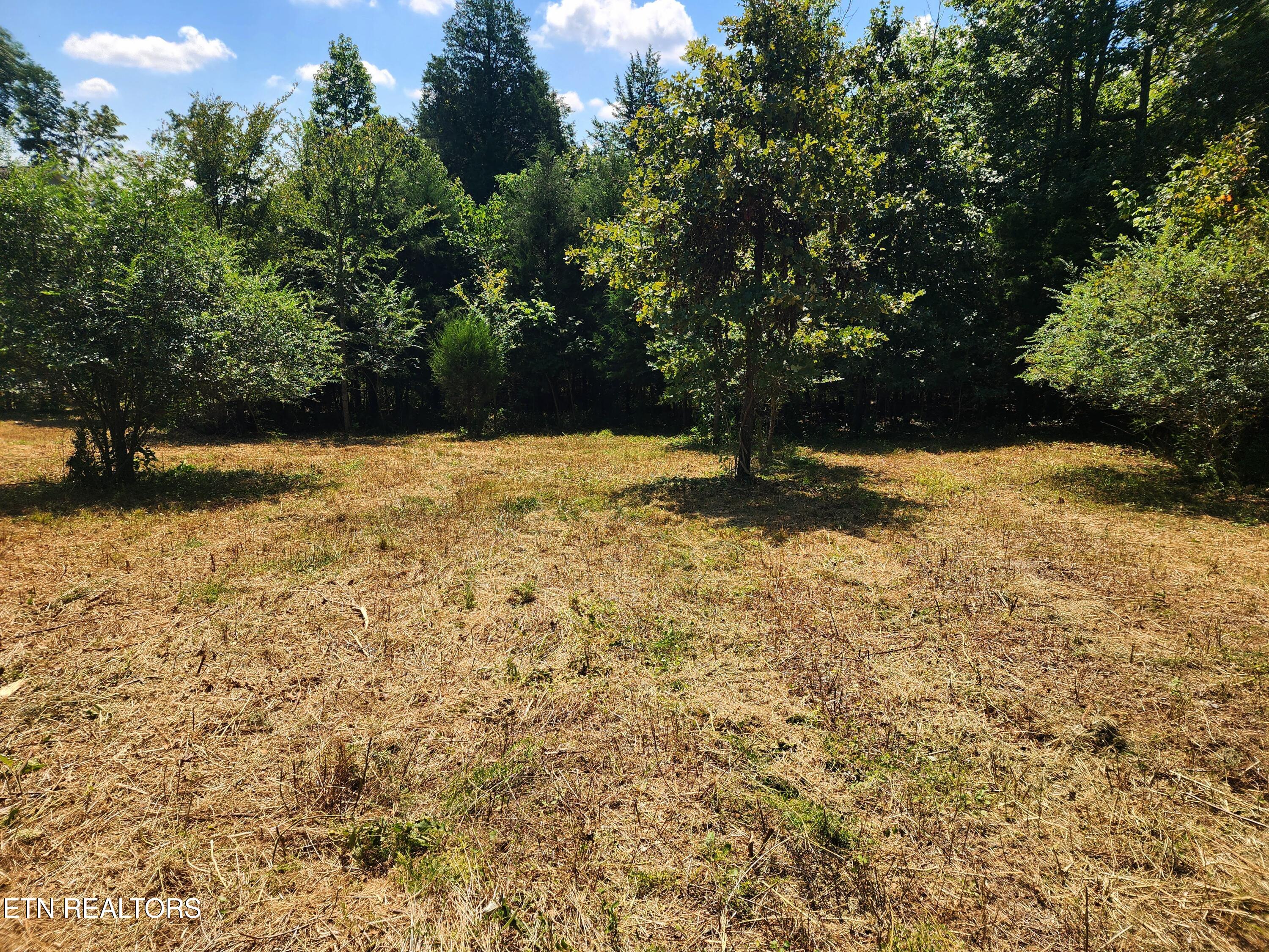 E Shore Drive Rockwood TN 37854