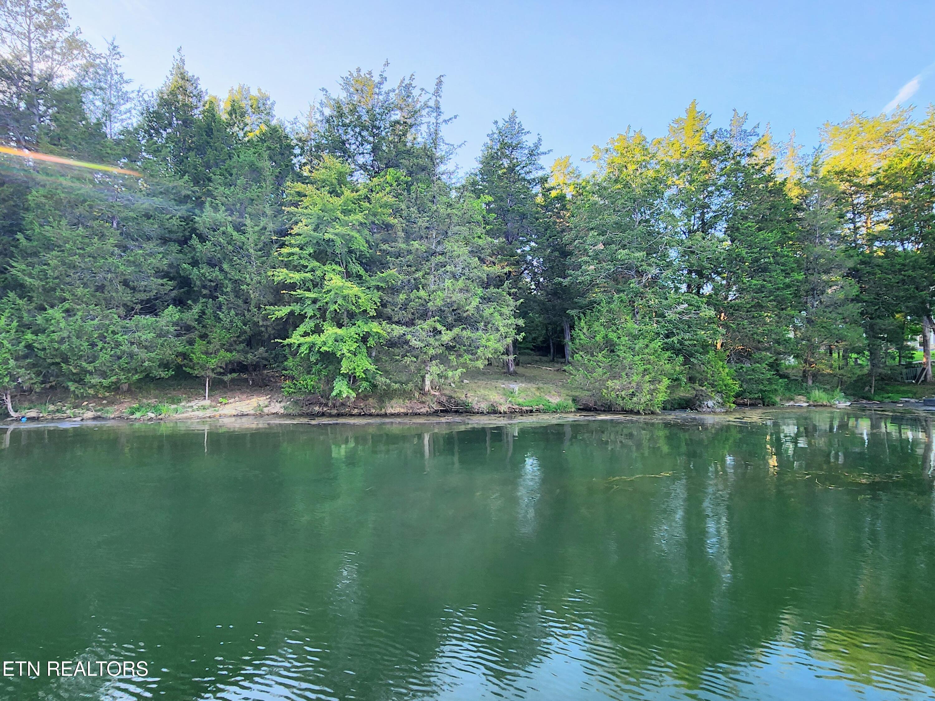 E Shore Drive Rockwood TN 37854