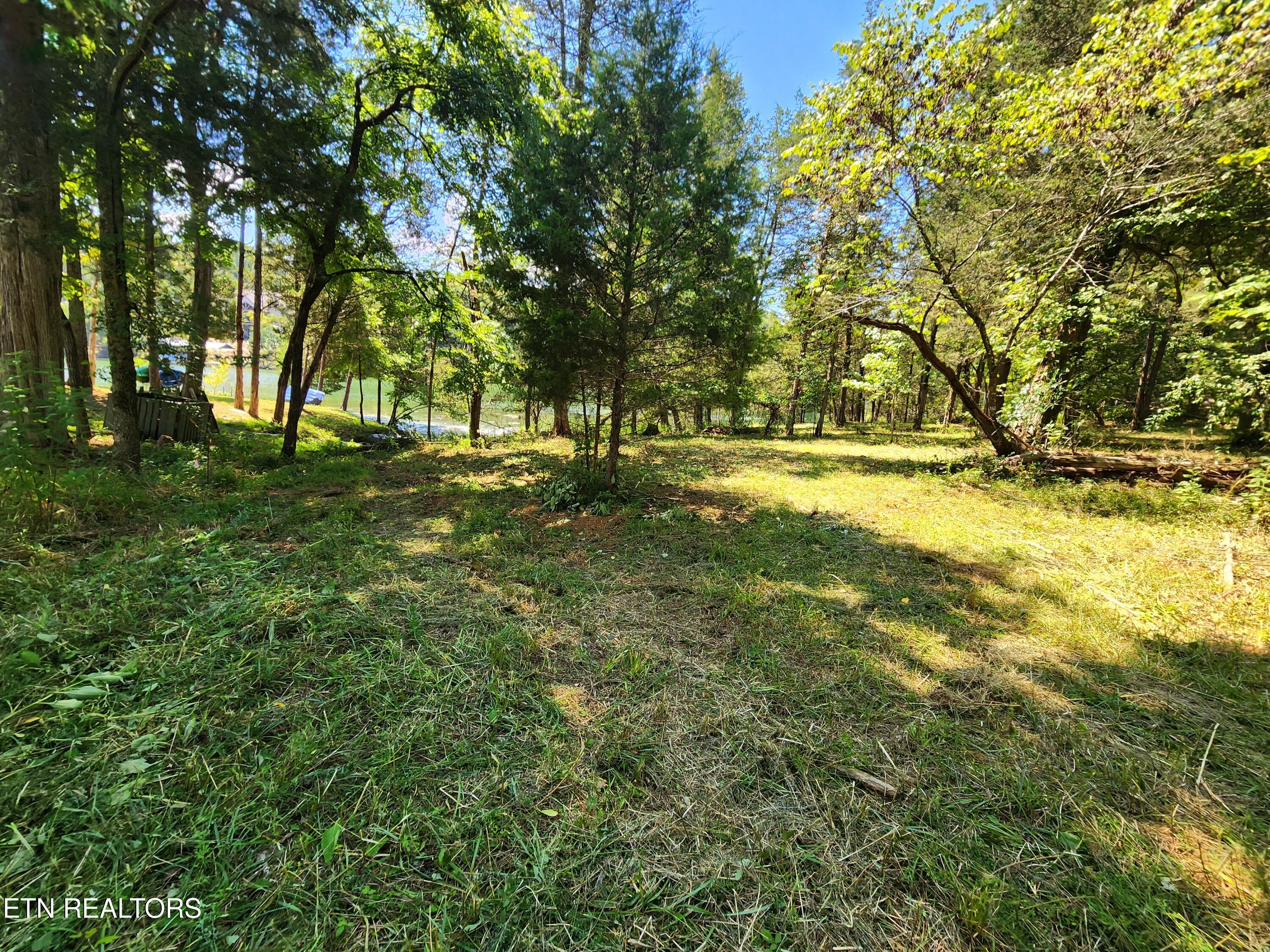 E Shore Drive Rockwood TN 37854