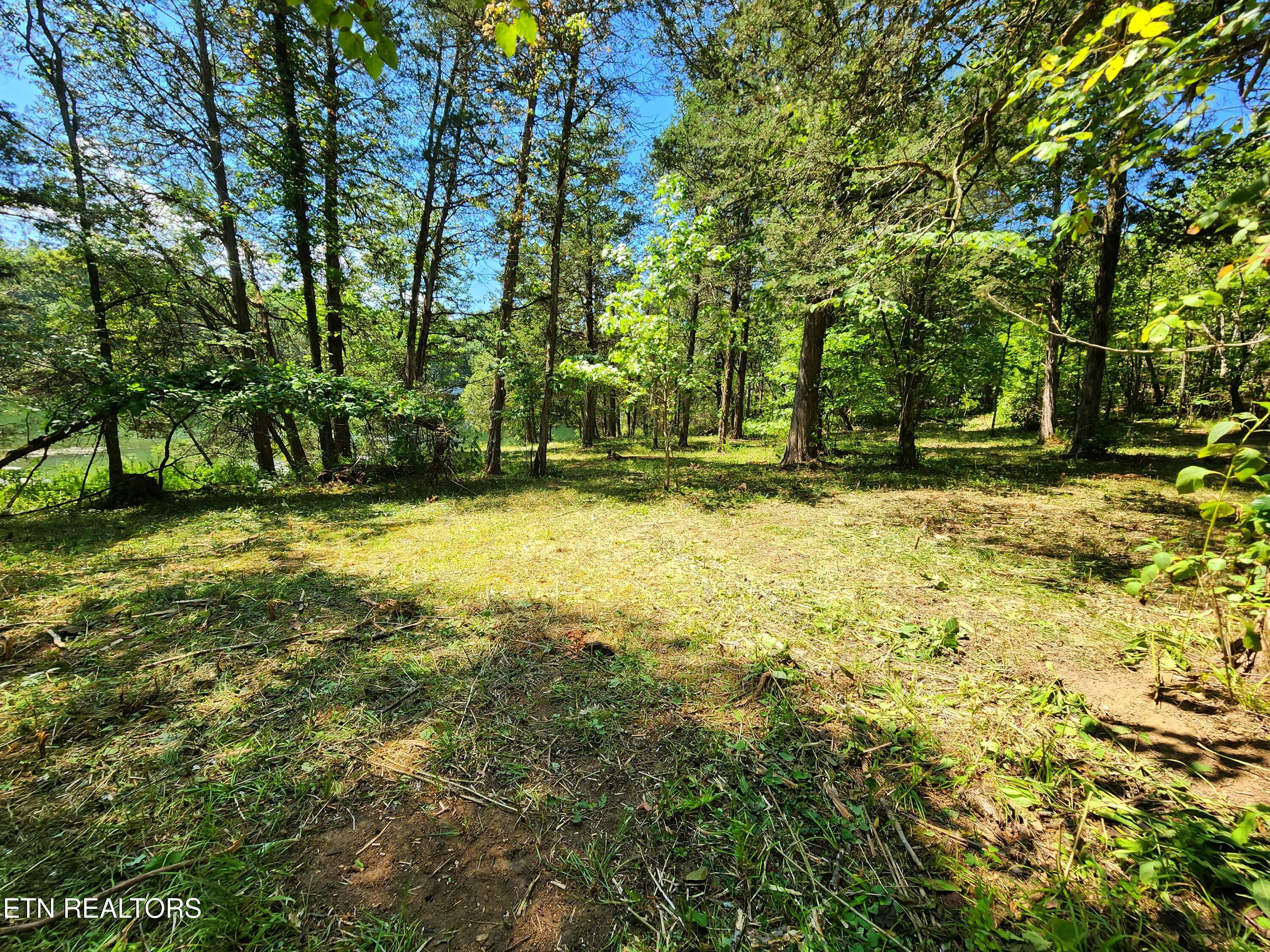 E Shore Drive Rockwood TN 37854