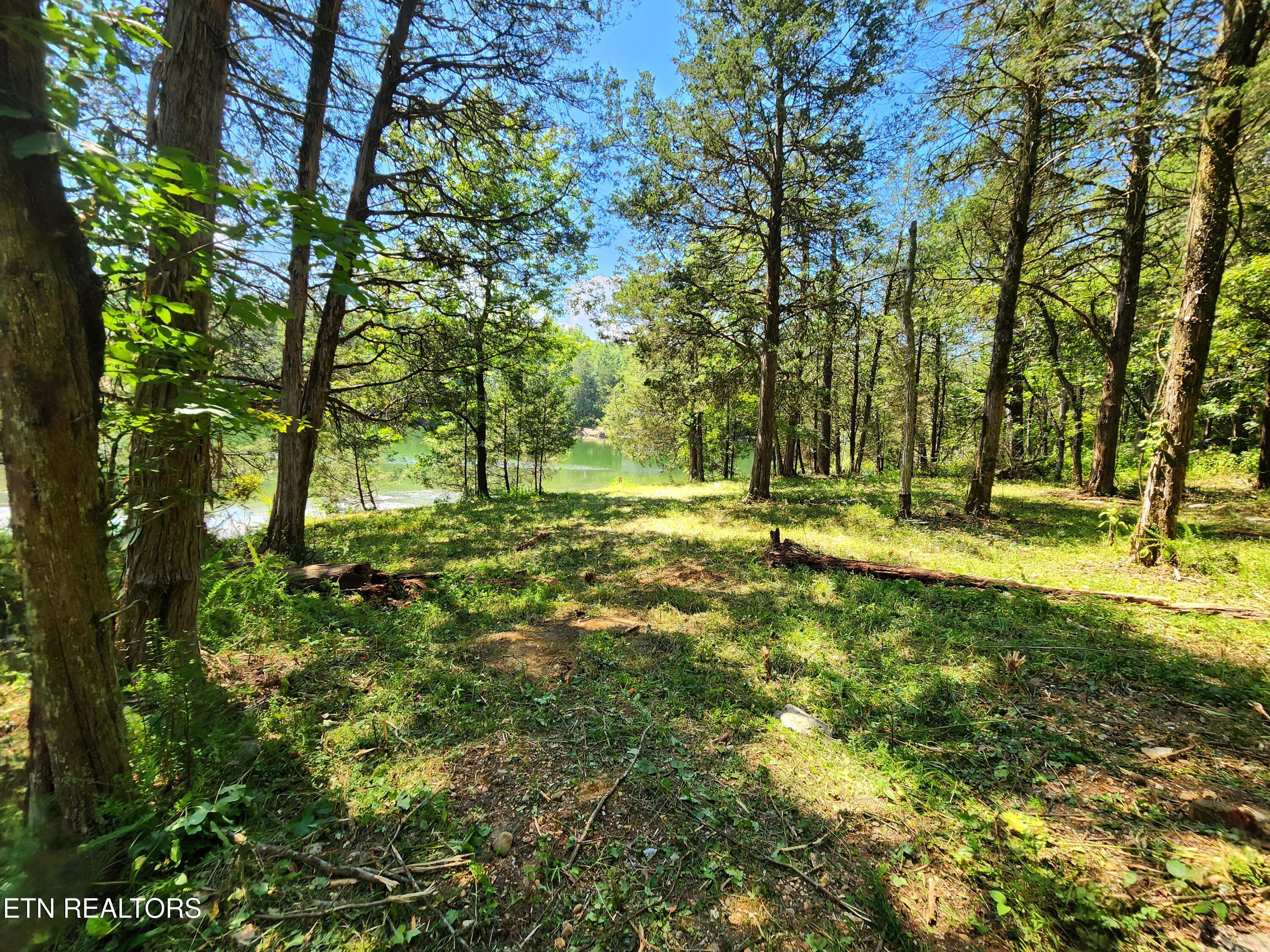 E Shore Drive Rockwood TN 37854
