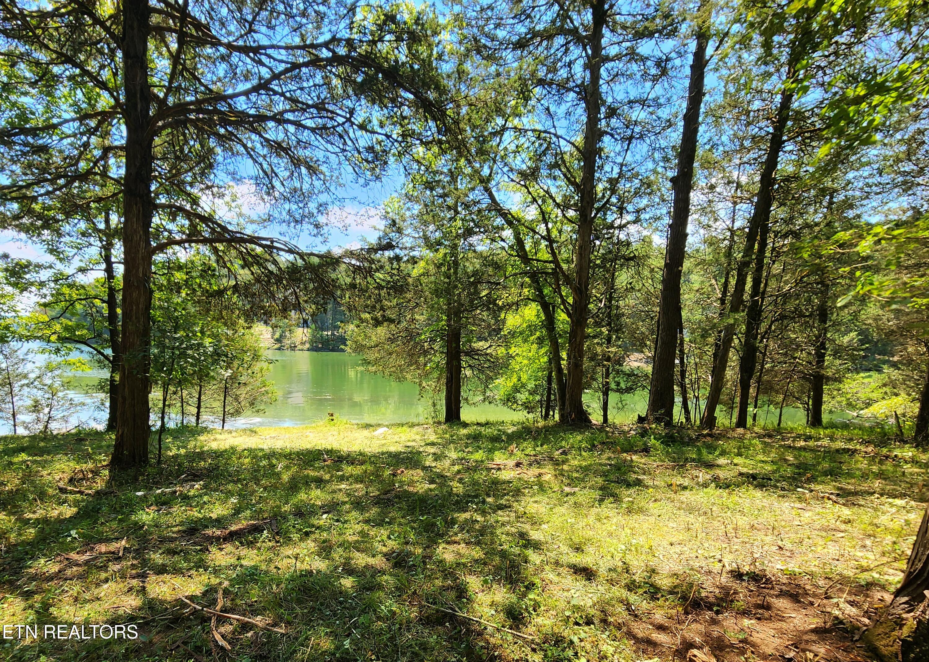 E Shore Drive Rockwood TN 37854