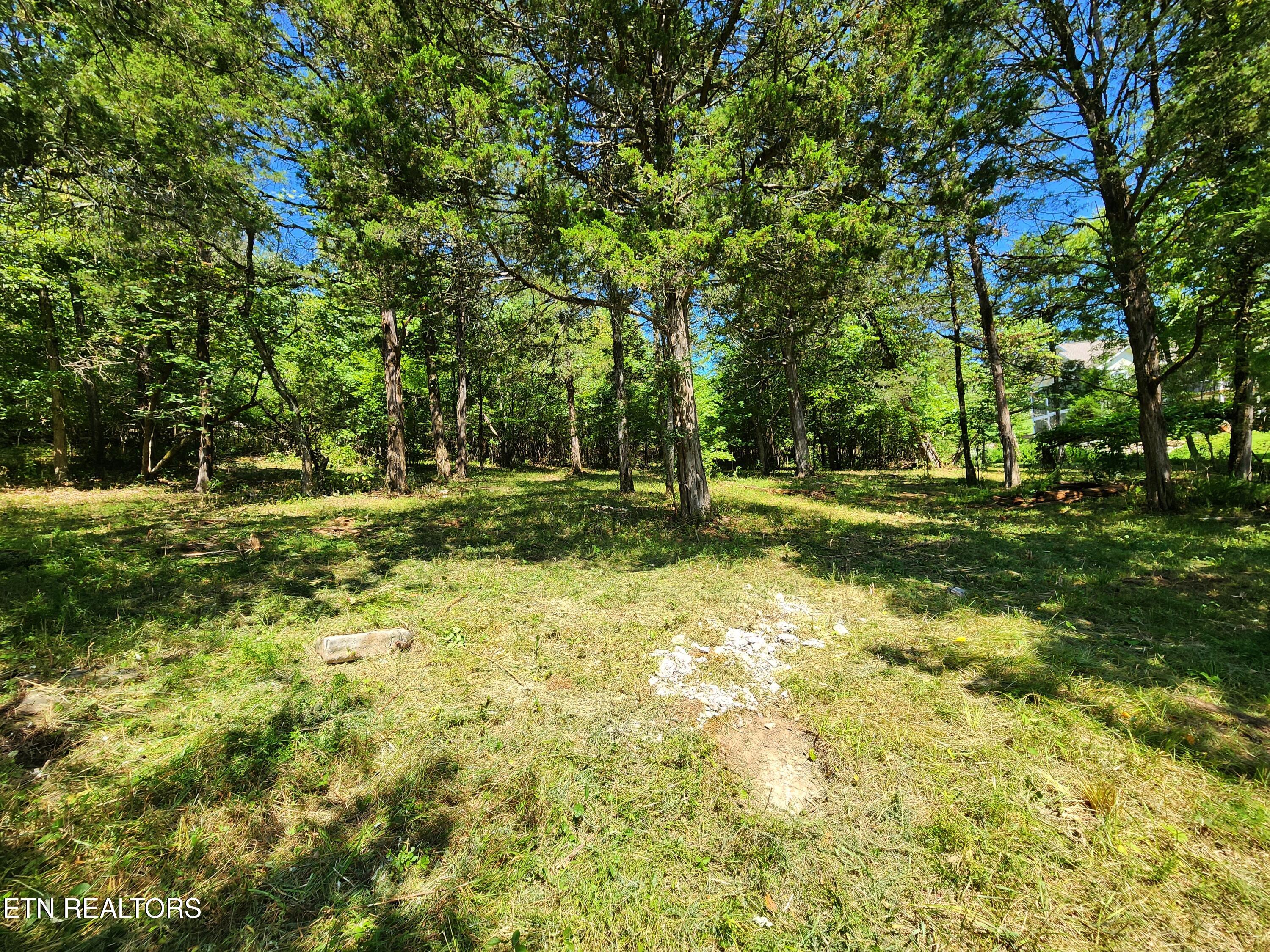 E Shore Drive Rockwood TN 37854