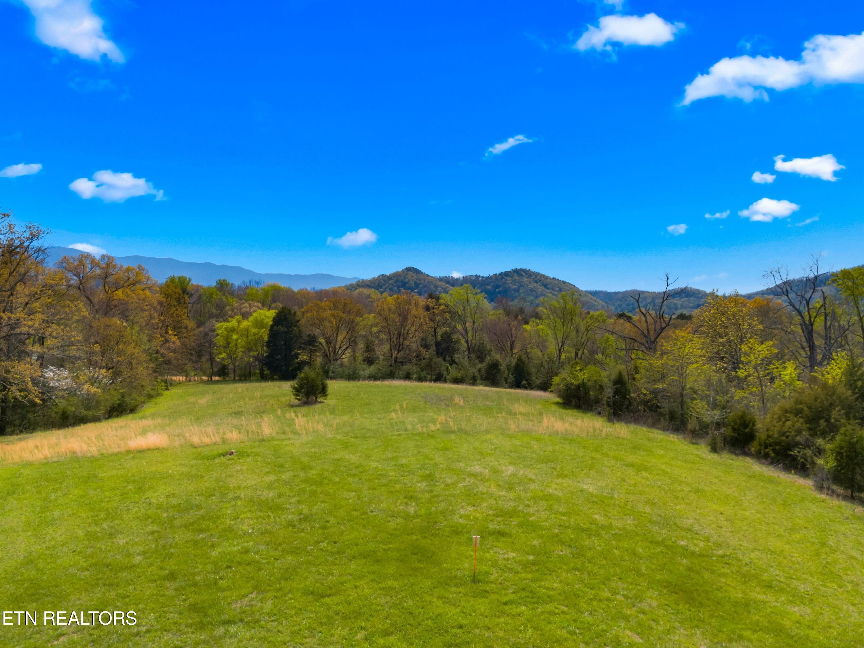 Bogard Road Newport TN 37821