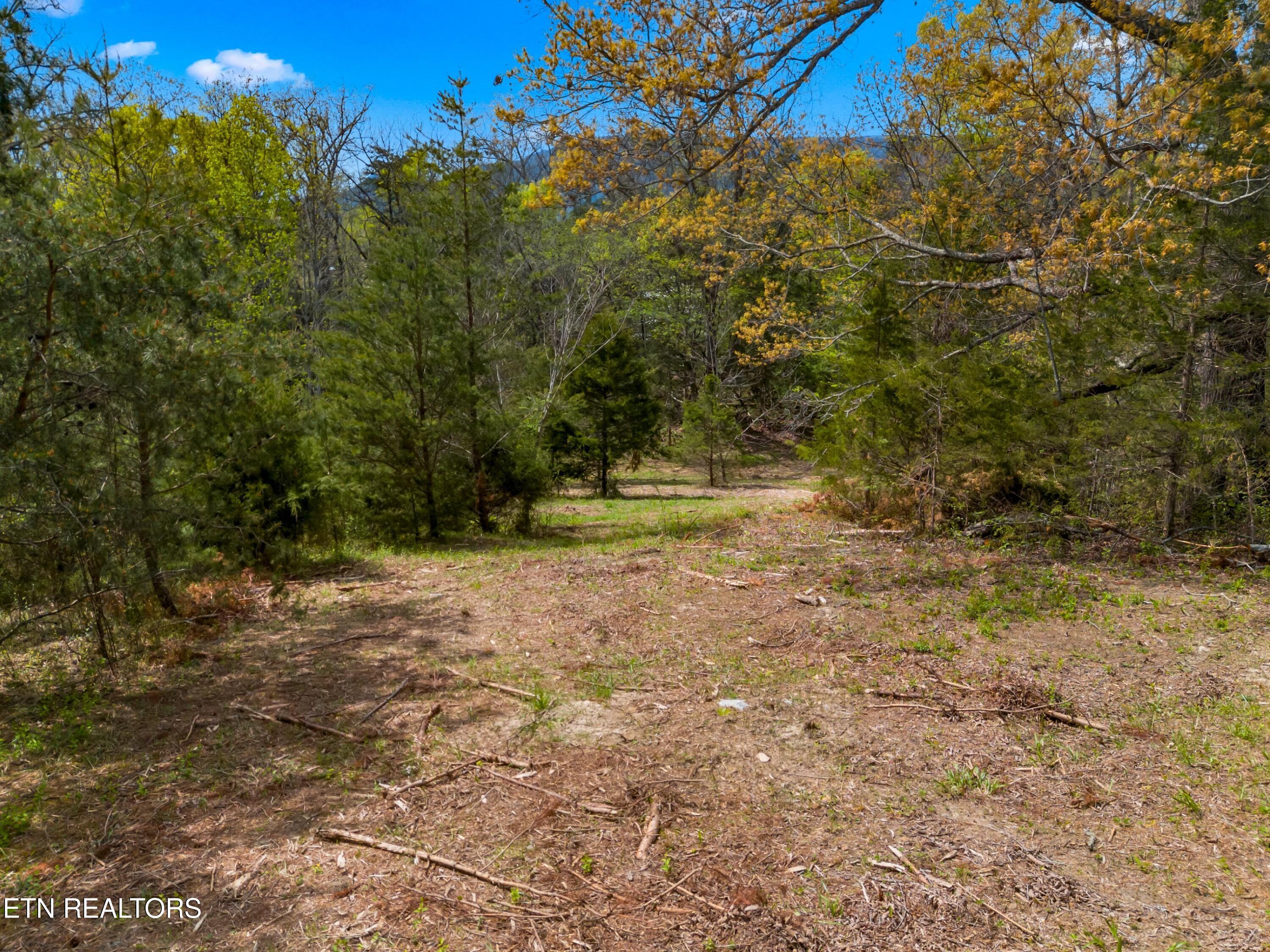 Bogard Road Newport TN 37821