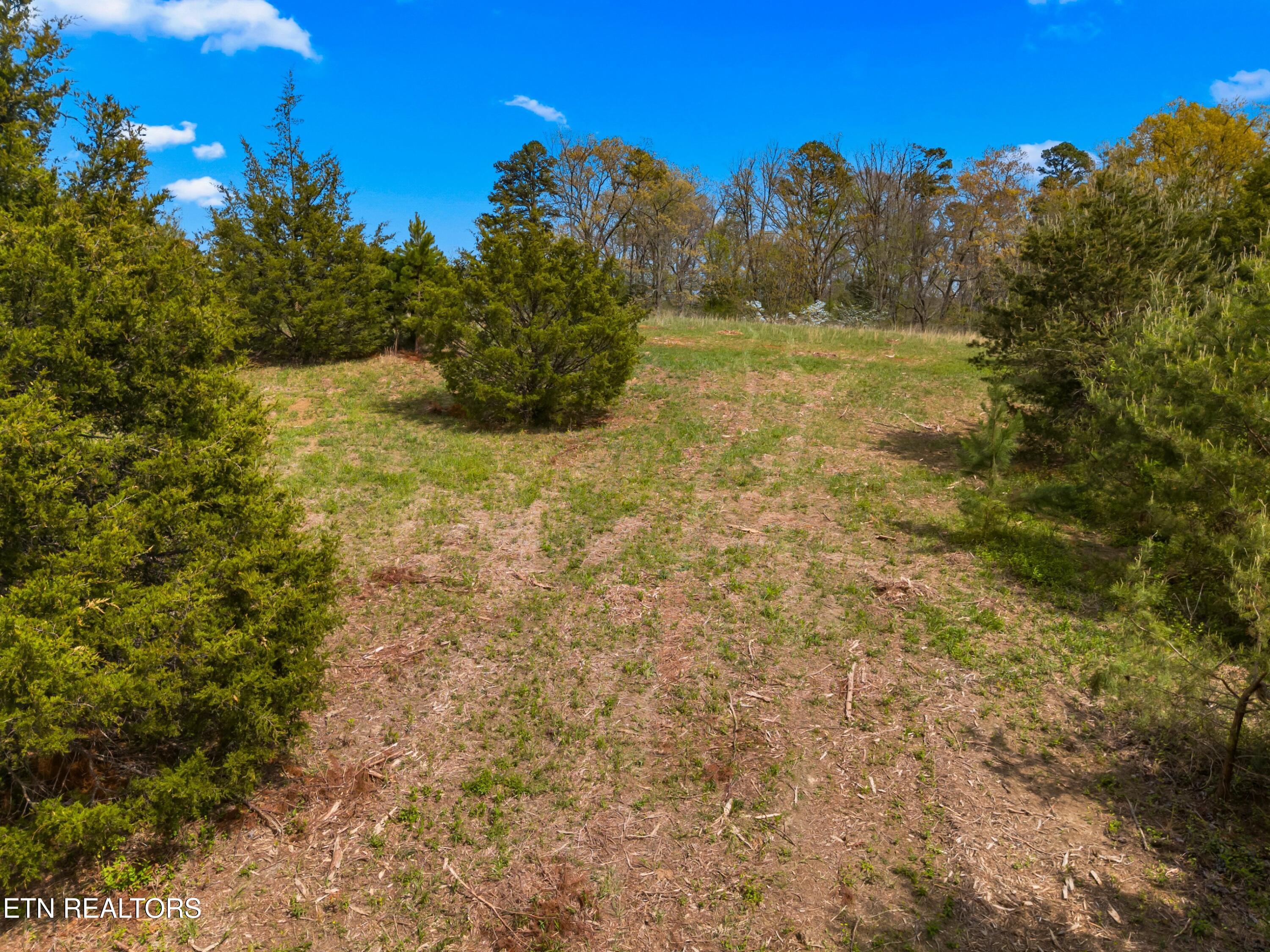 Bogard Road Newport TN 37821
