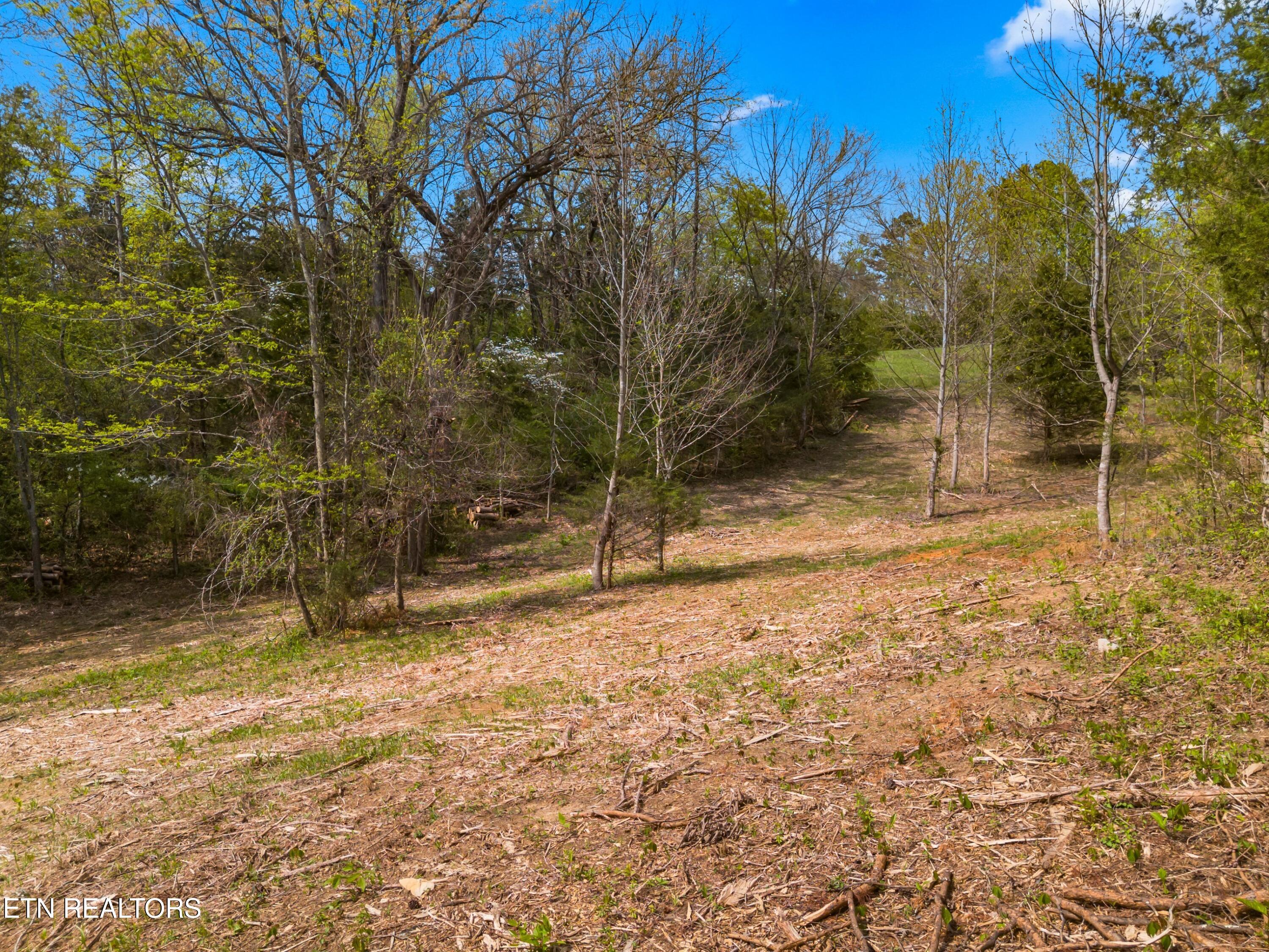 Bogard Road Newport TN 37821