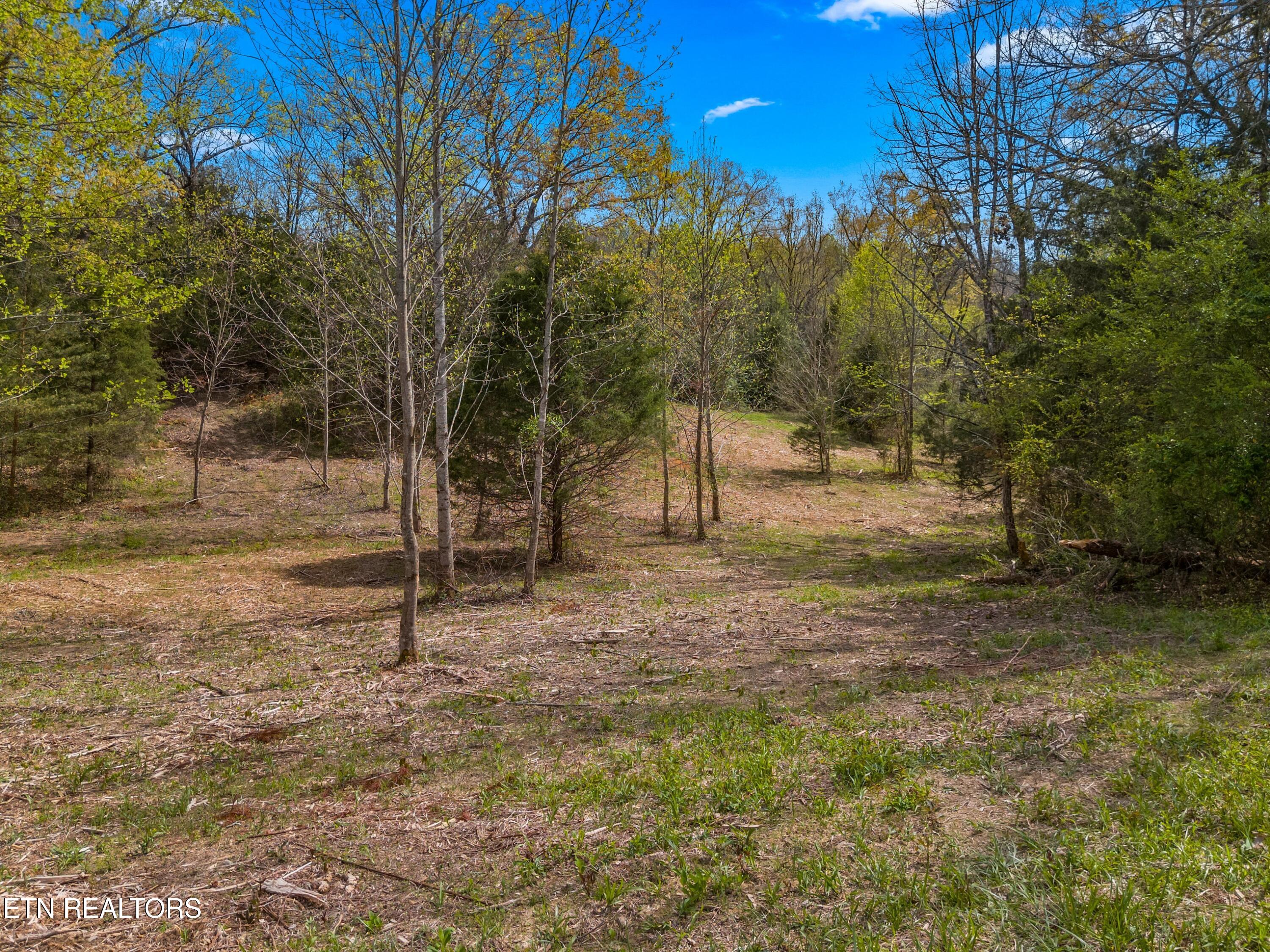 Bogard Road Newport TN 37821