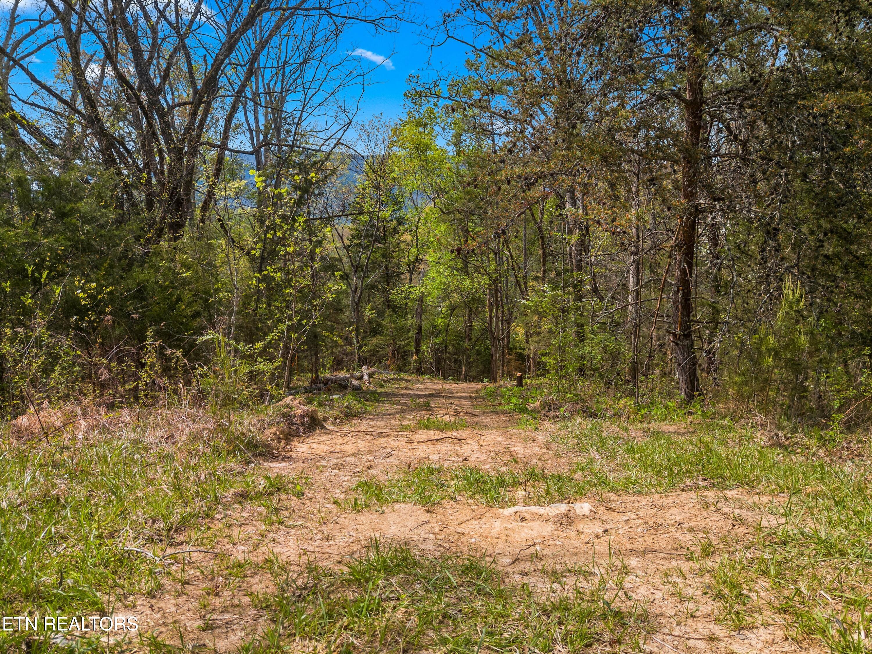 Bogard Road Newport TN 37821
