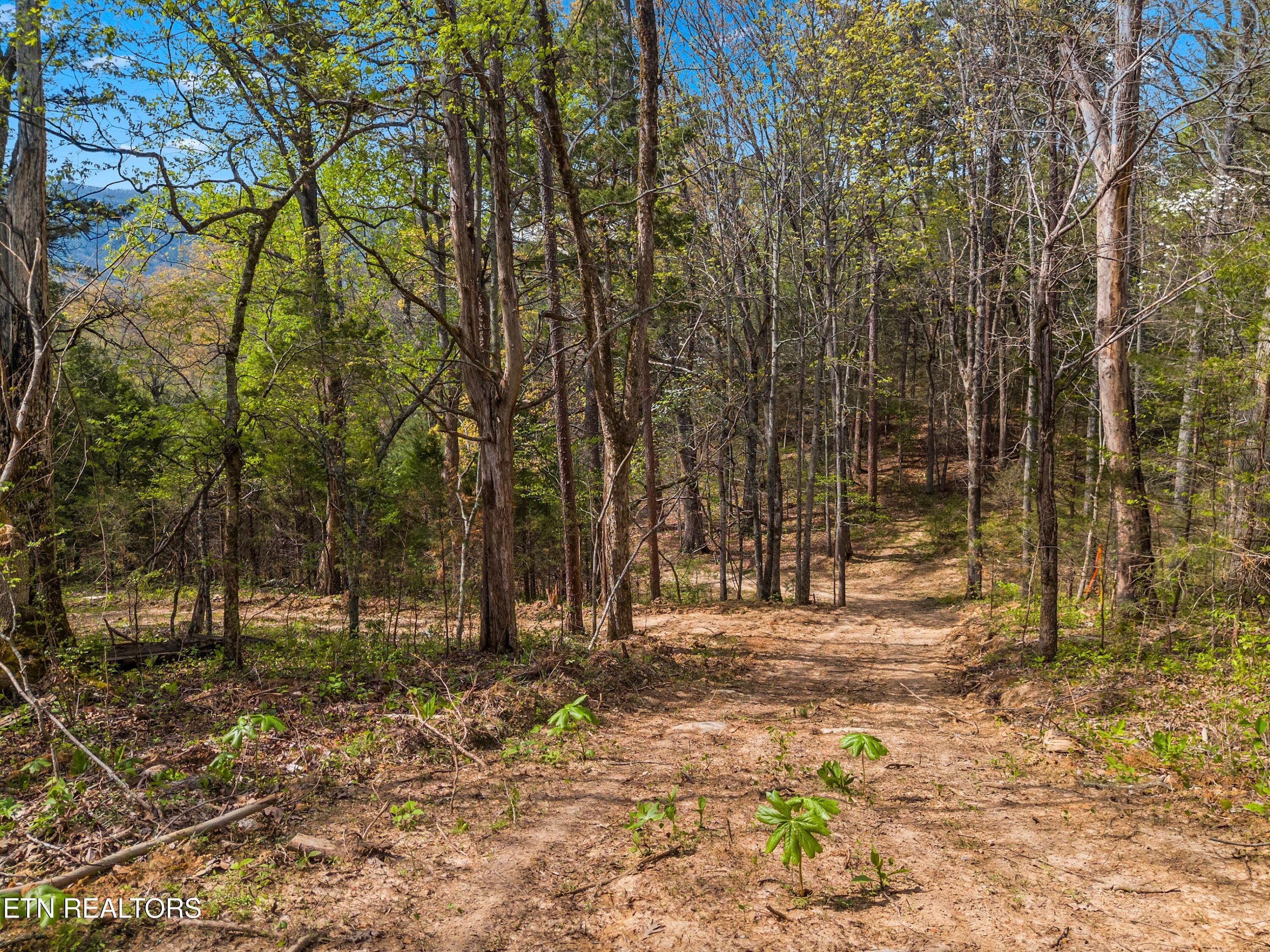Bogard Road Newport TN 37821