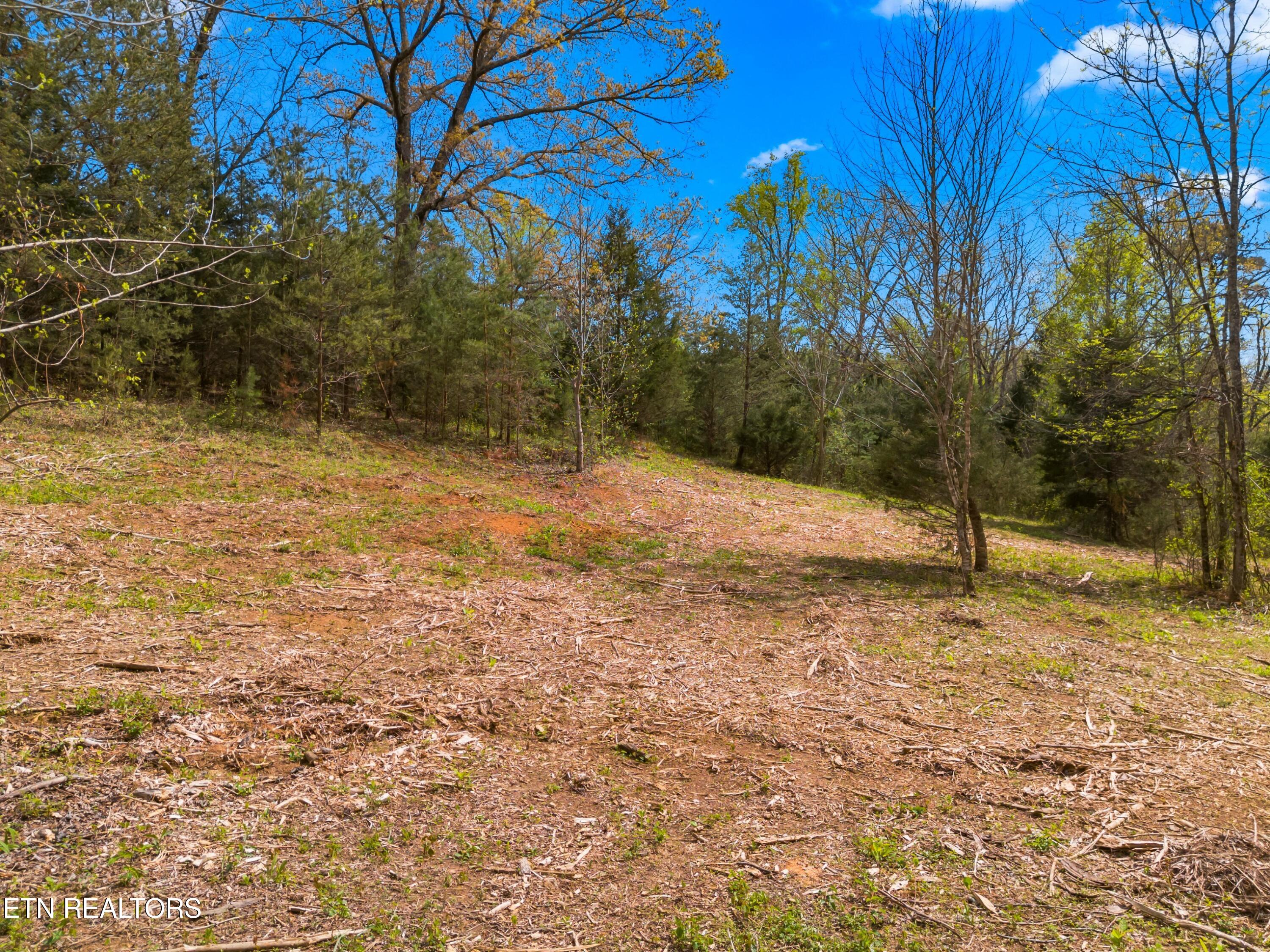 Bogard Road Newport TN 37821