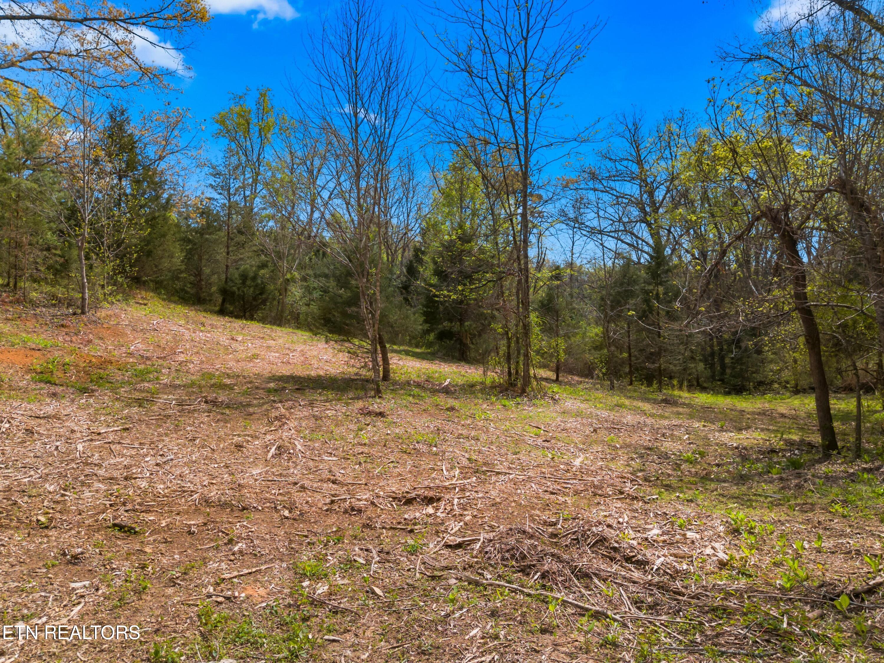 Bogard Road Newport TN 37821
