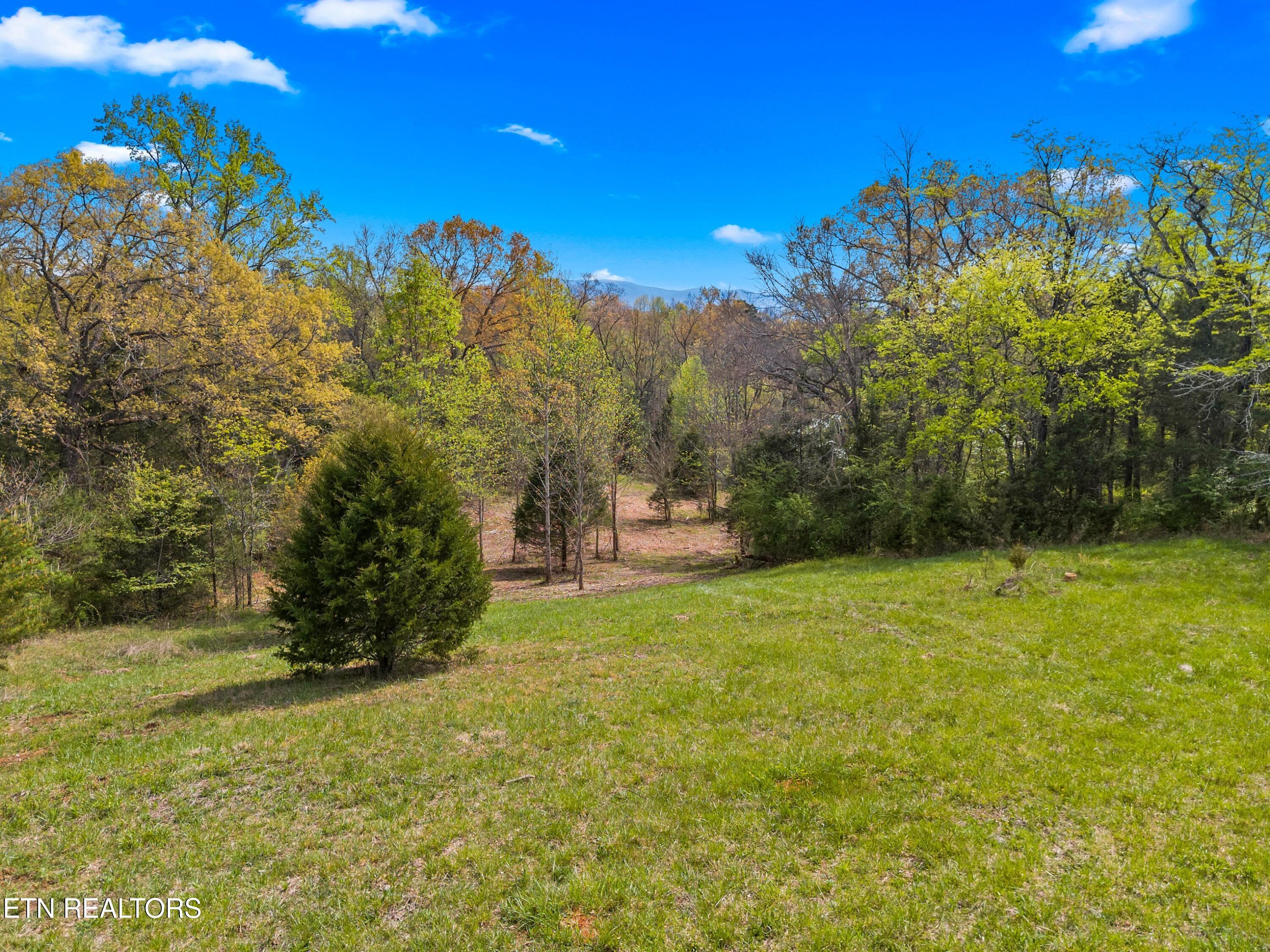 Bogard Road Newport TN 37821