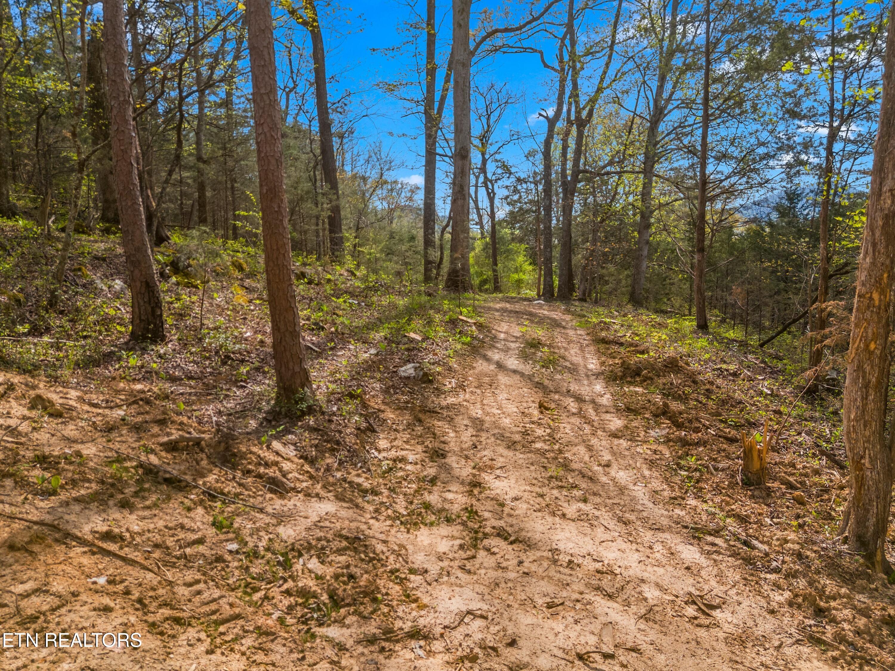 Bogard Road Newport TN 37821