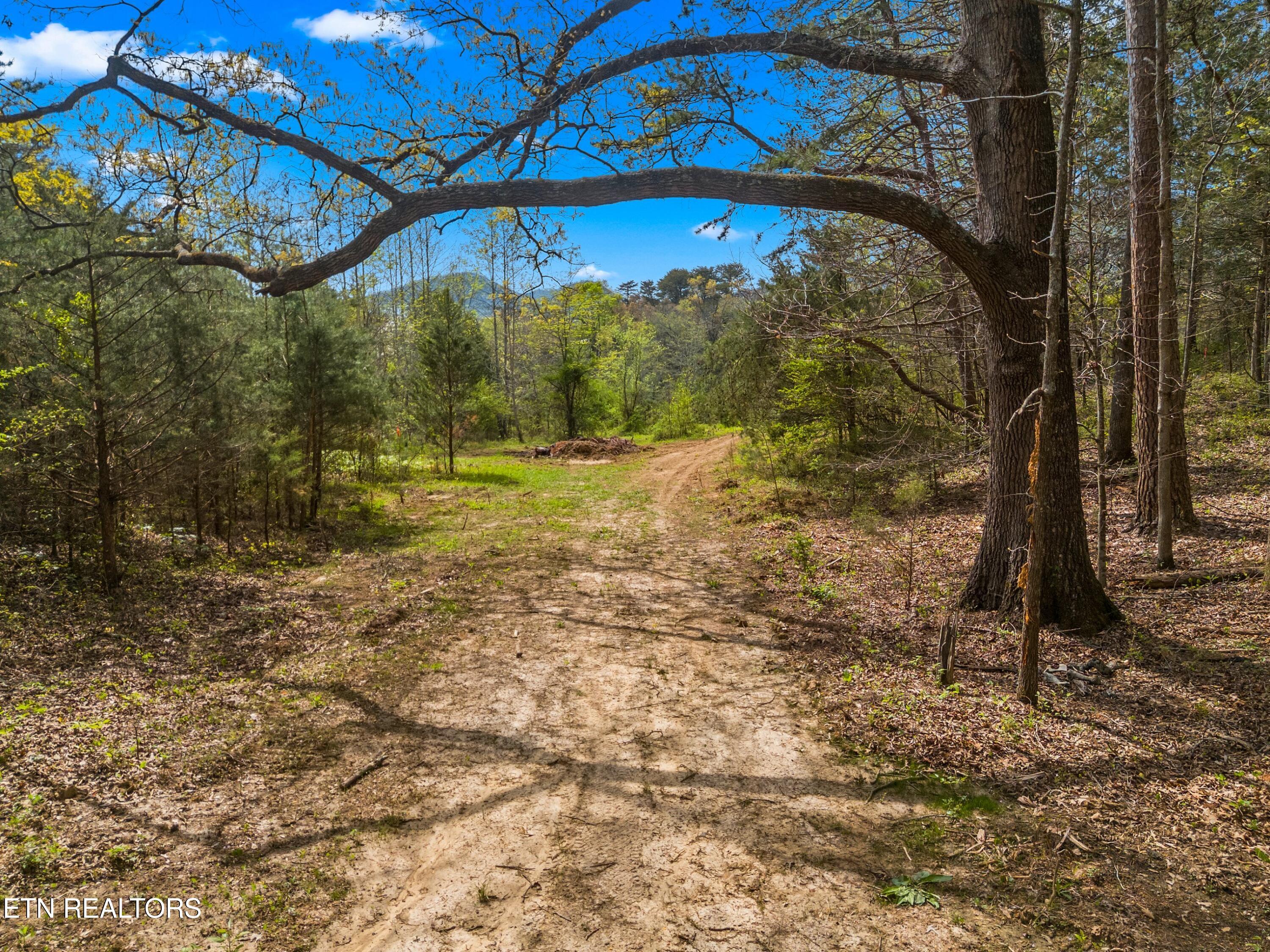 Bogard Road Newport TN 37821
