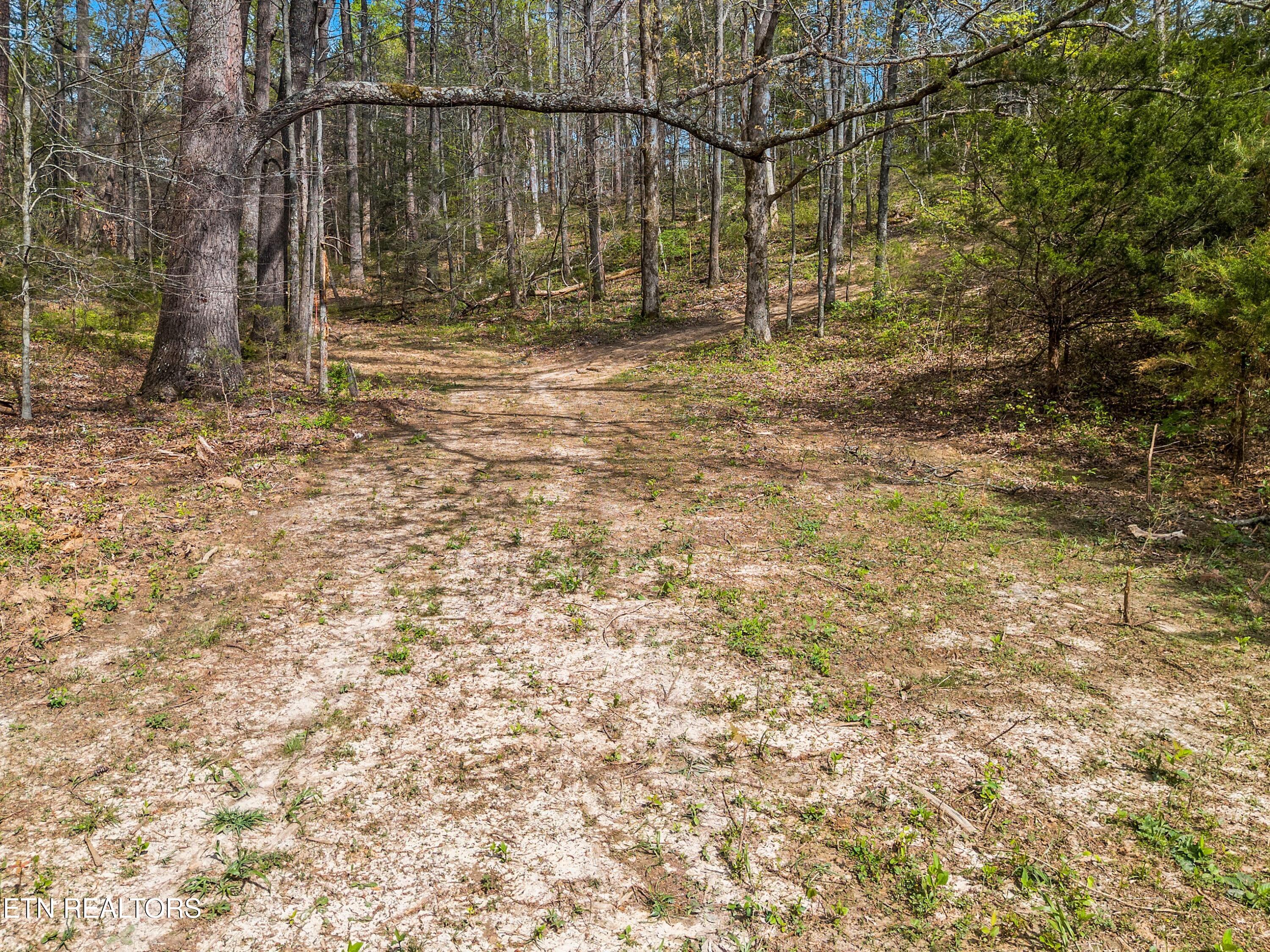 Bogard Road Newport TN 37821