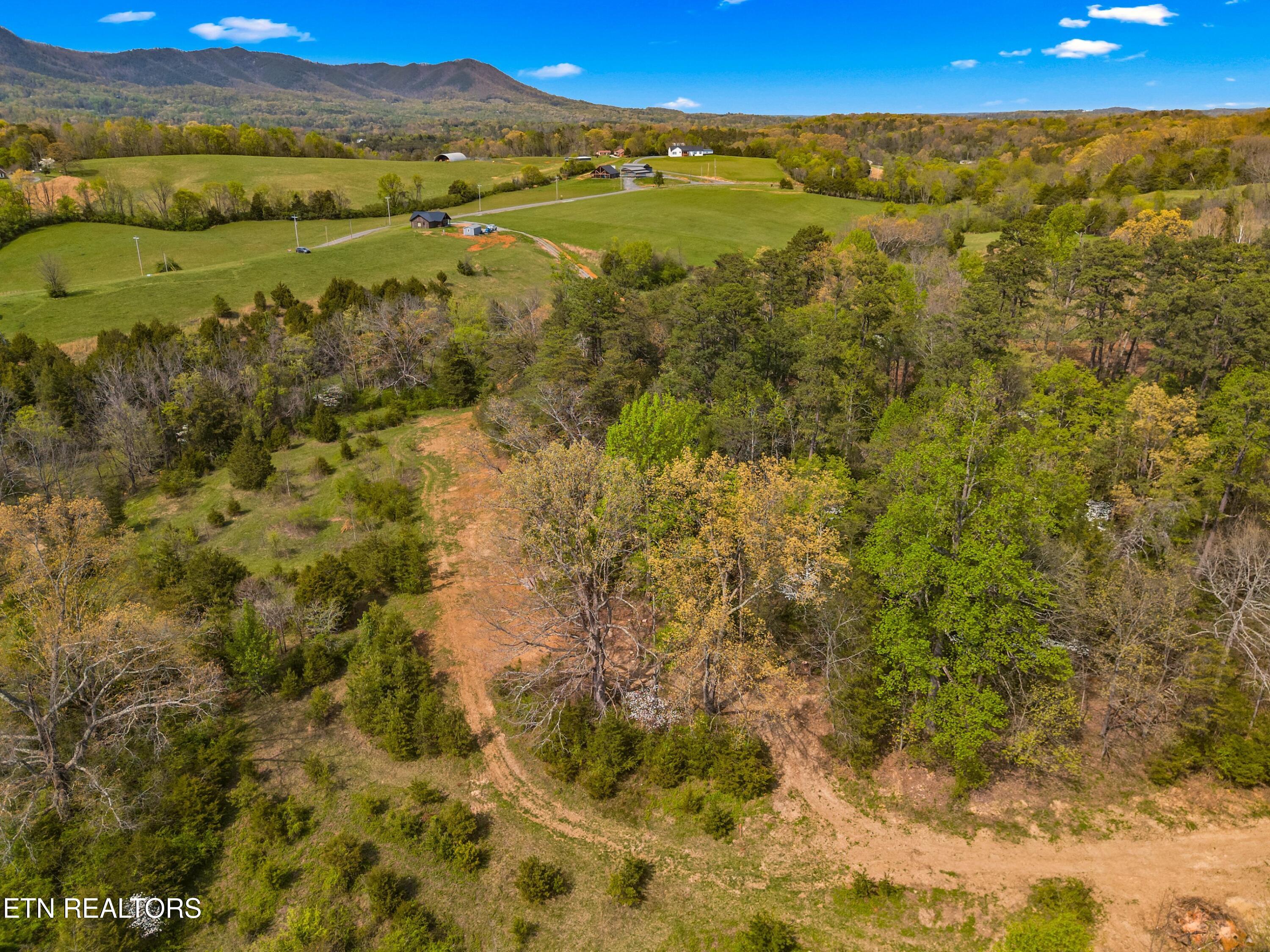 Bogard Road Newport TN 37821
